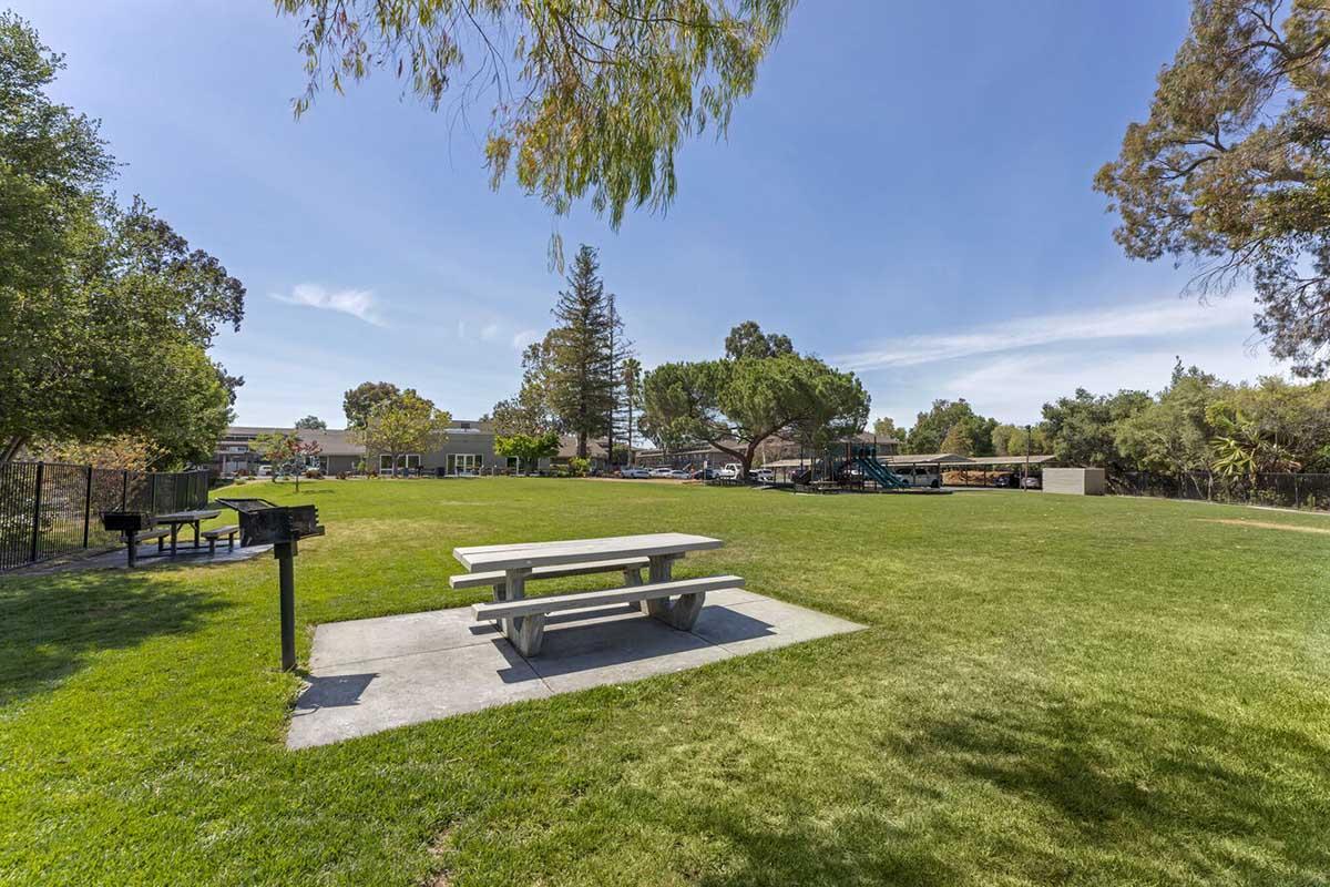 A spacious park with a grassy area featuring a picnic table and a barbecue grill. In the background, there are trees and a playground, with a few buildings visible. The sky is clear, showing a bright and sunny day.
