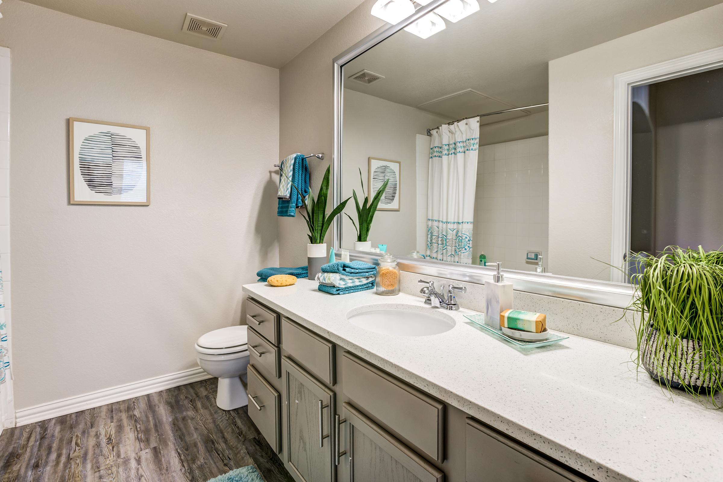 A modern bathroom featuring a countertop with a sink, decorative items, and a plant. The walls are a neutral color, and a large mirror is above the sink. A shower curtain with a turquoise design is visible, and there are towels hanging nearby. The floor is covered with wood-like tiles.