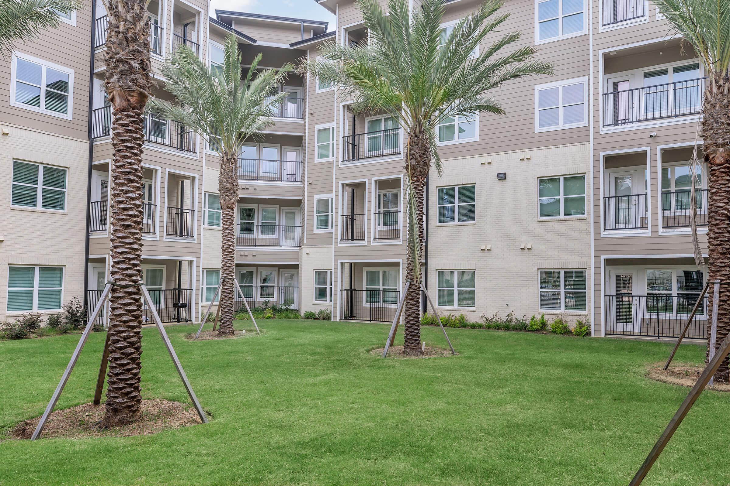 A view of a landscaped courtyard surrounded by modern apartment buildings. The area features manicured green grass and several tall palm trees, enhancing the tropical feel. The buildings are light-colored with multiple windows, providing a bright and airy atmosphere.