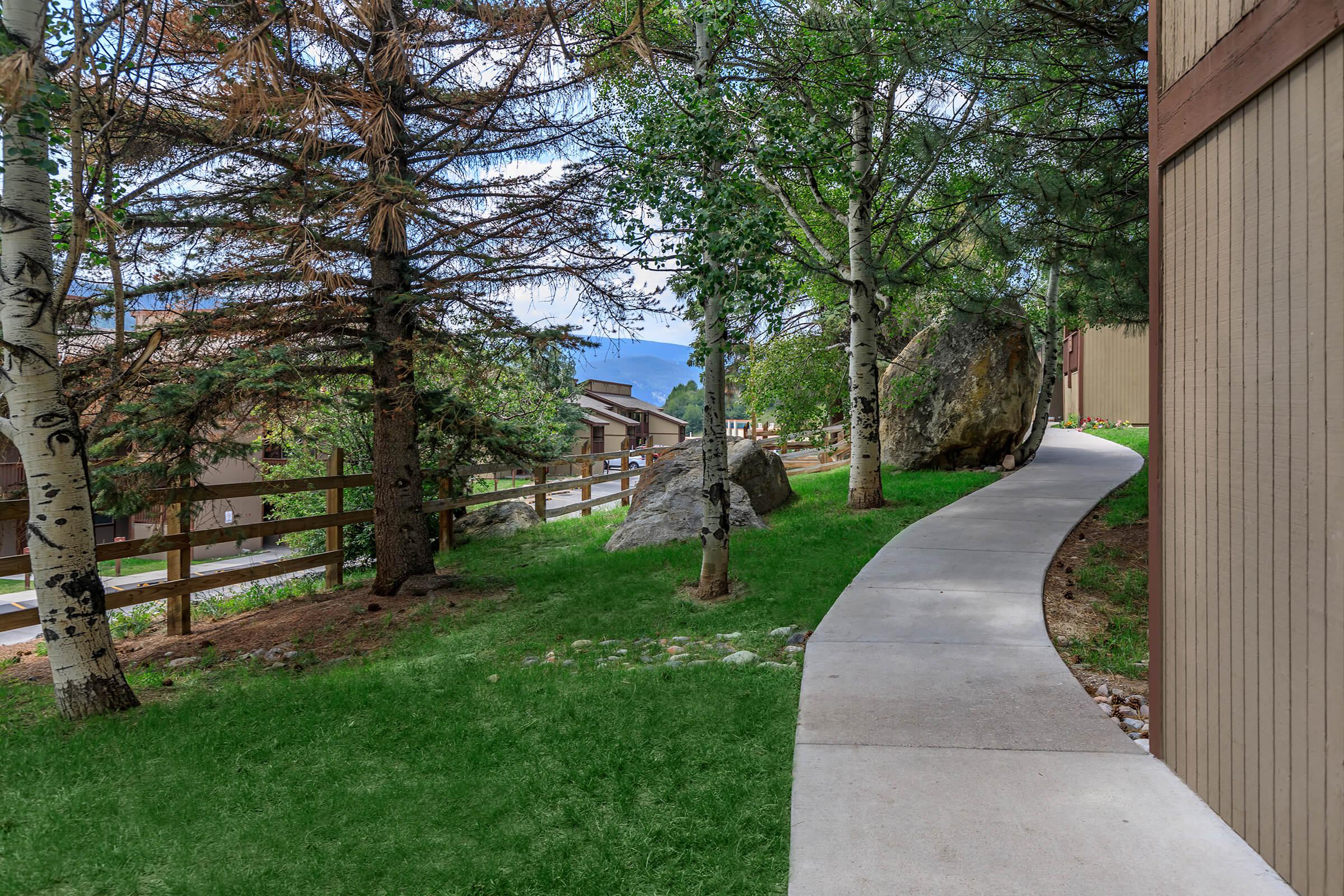 a path with trees on the side of a building