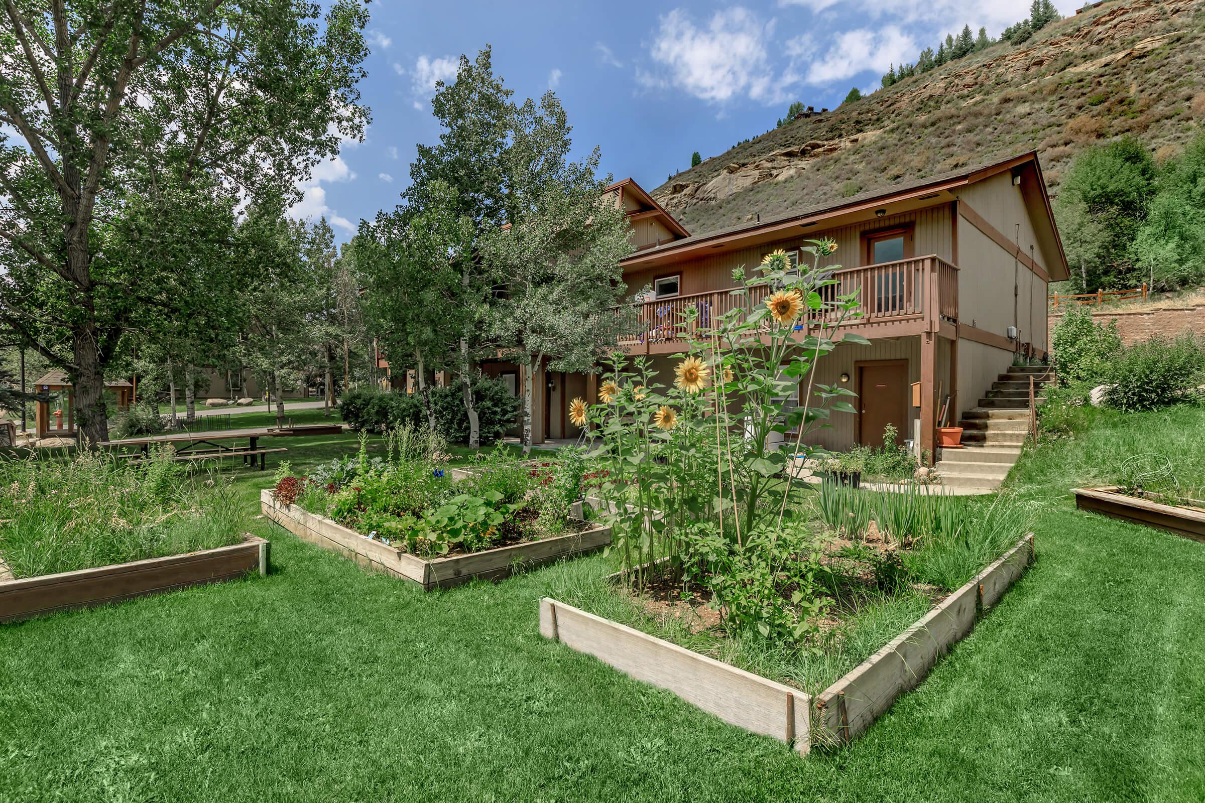 a large lawn in front of a house