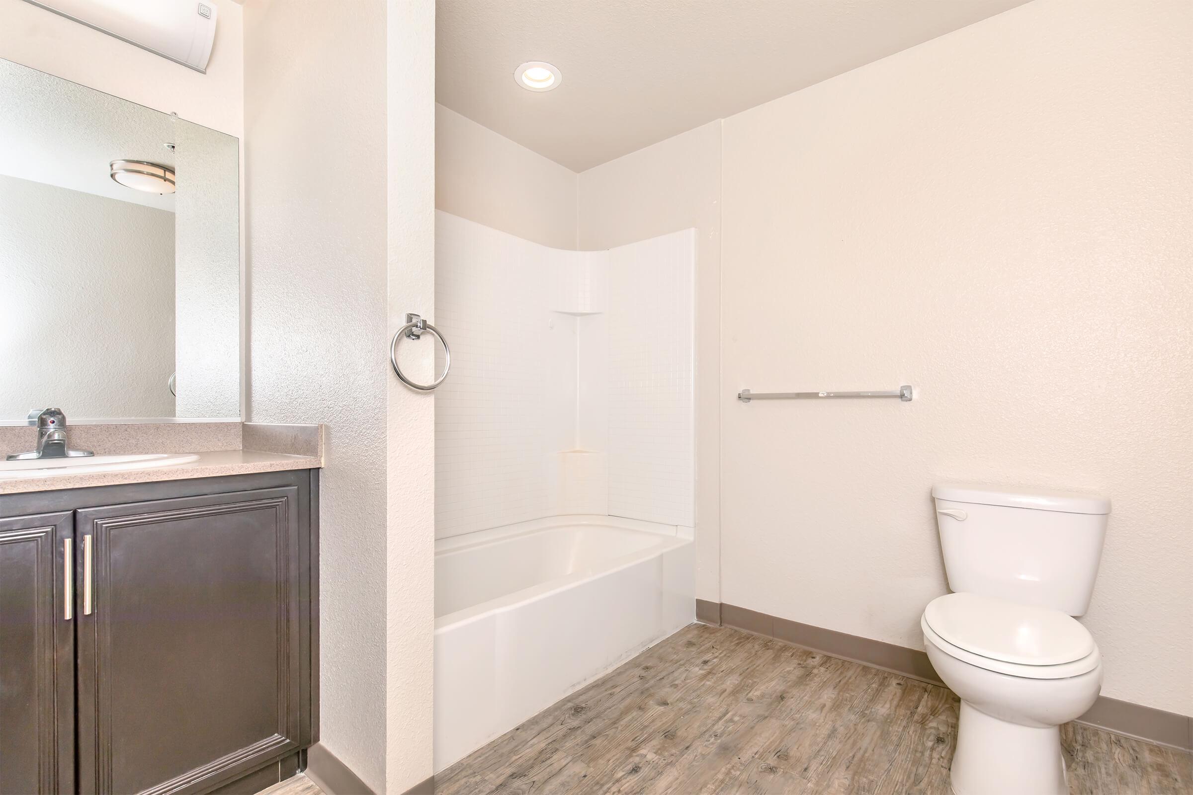 A clean, modern bathroom featuring a bathtub with a shower, a white toilet, a dark wood vanity with a sink, and a mirror. The walls are painted light colors, and the floor has a wood-like finish. The space is well-lit with recessed lighting.