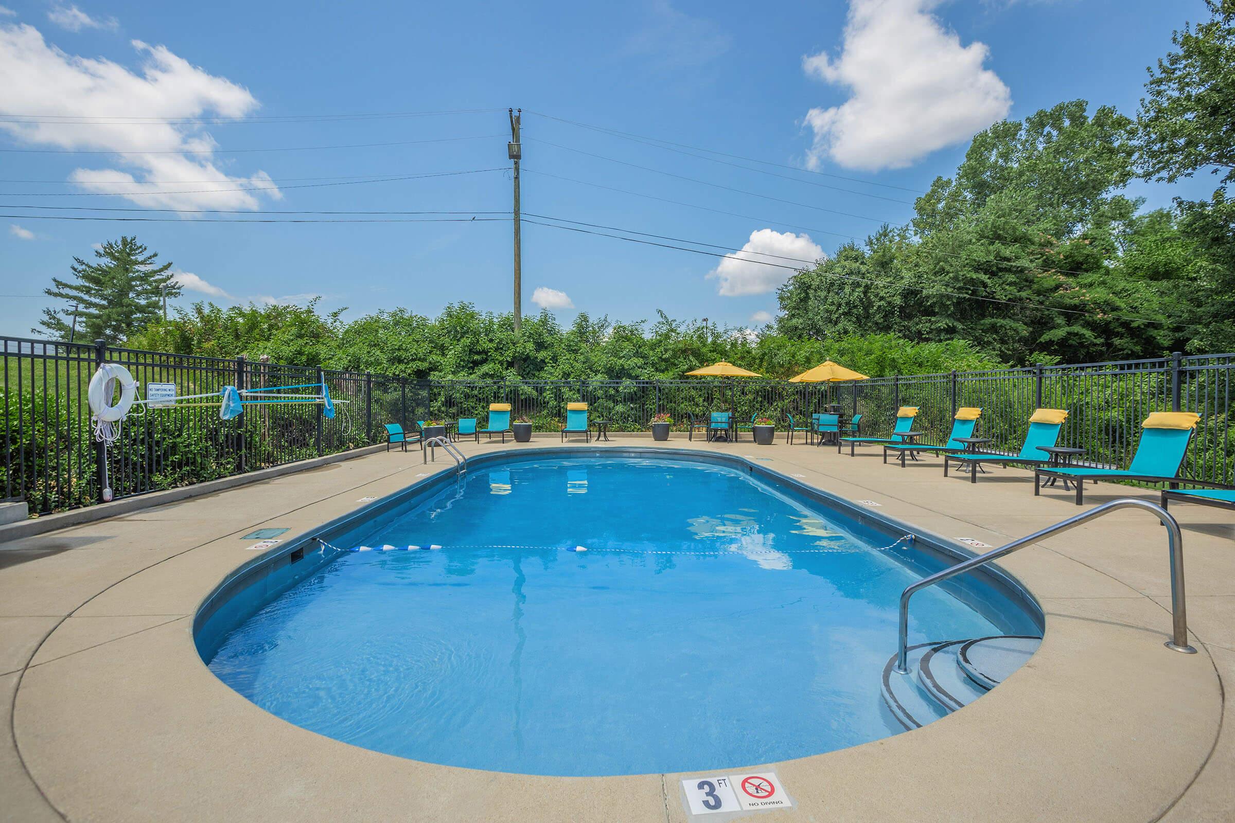 Shimmering Swimming Pool