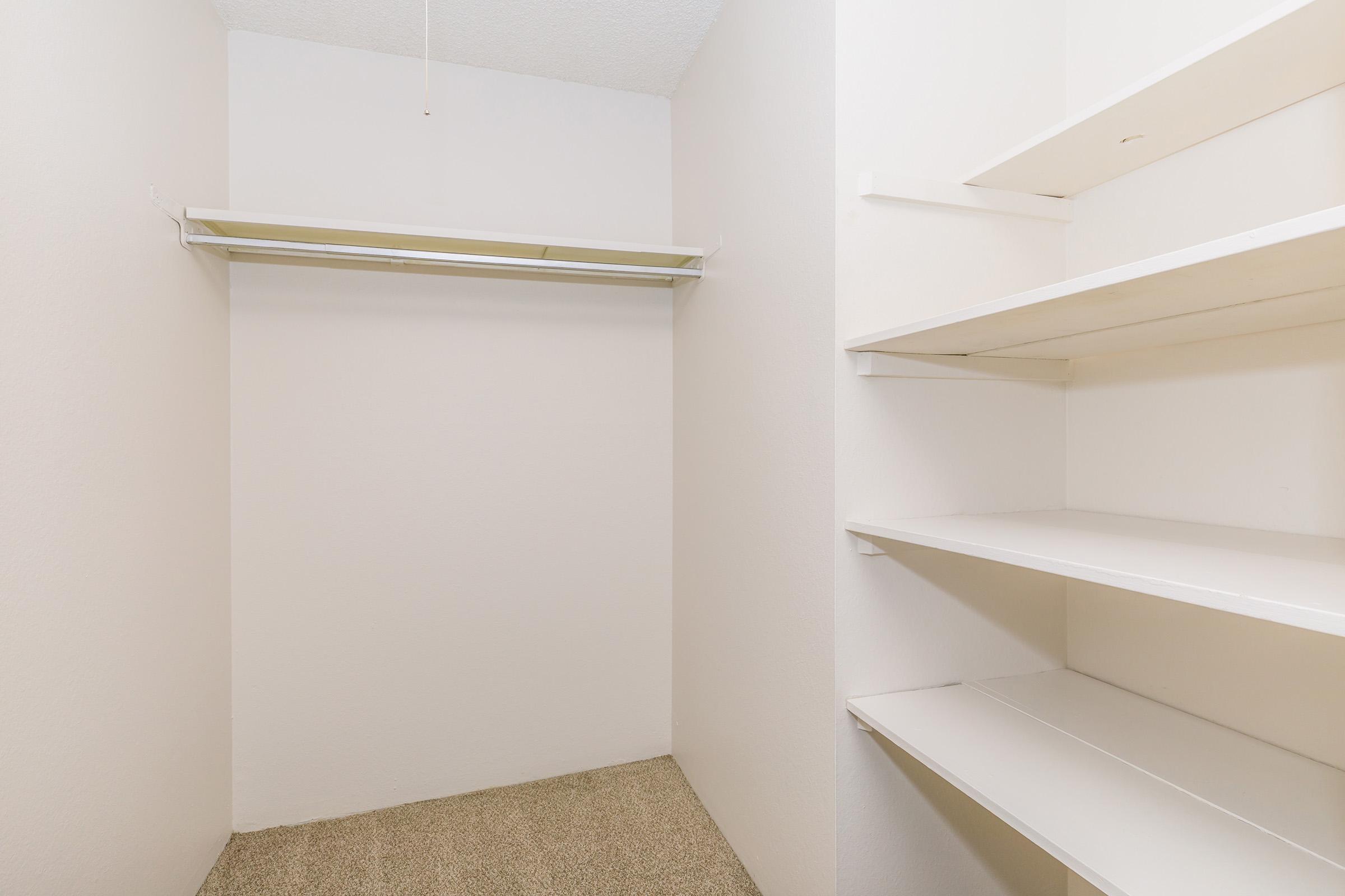 A minimalistic closet featuring a single clothes hanging rod on the left side and several white shelves on the right. The walls are plain and the carpet is light-colored, creating a clean and spacious look.
