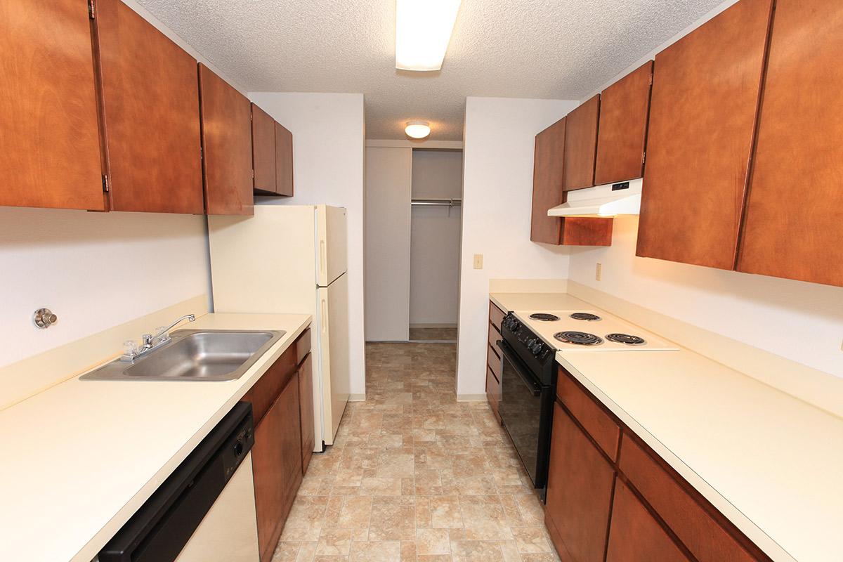 a kitchen with a stove a sink and a microwave oven above a refrigerator