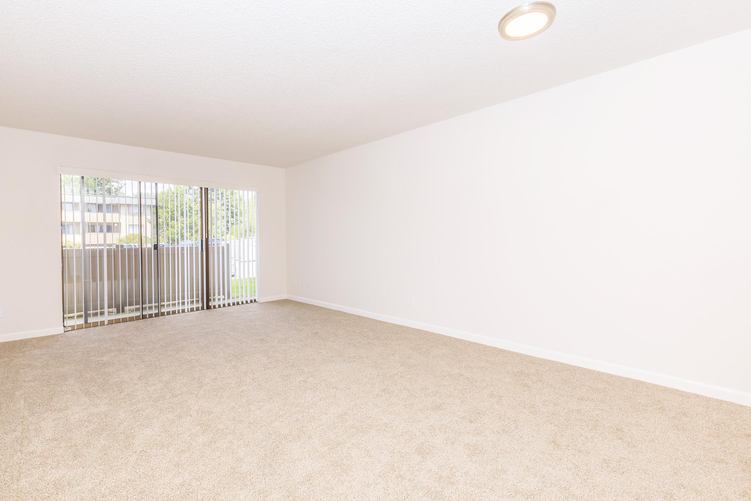 A spacious, empty room featuring light beige carpet, white walls, and a ceiling light. Large sliding glass doors with vertical blinds provide access to an outdoor area, allowing natural light to fill the space. The minimal decor emphasizes the room's openness and potential for various arrangements.