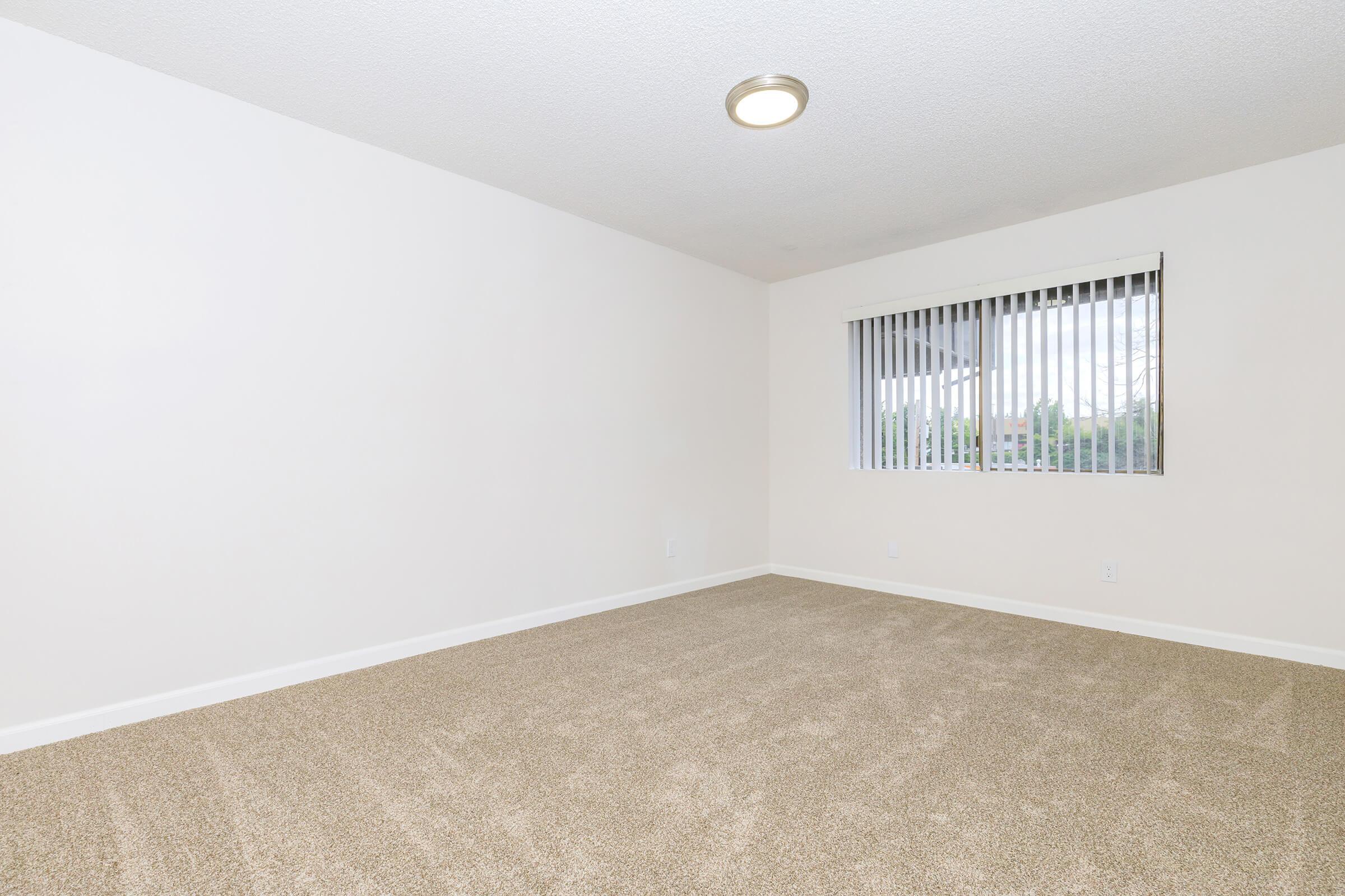 A light and airy room featuring beige carpet flooring, white walls, and a window with vertical blinds allowing natural light to enter. The space is empty and unfurnished, creating an open and inviting atmosphere ideal for customization.