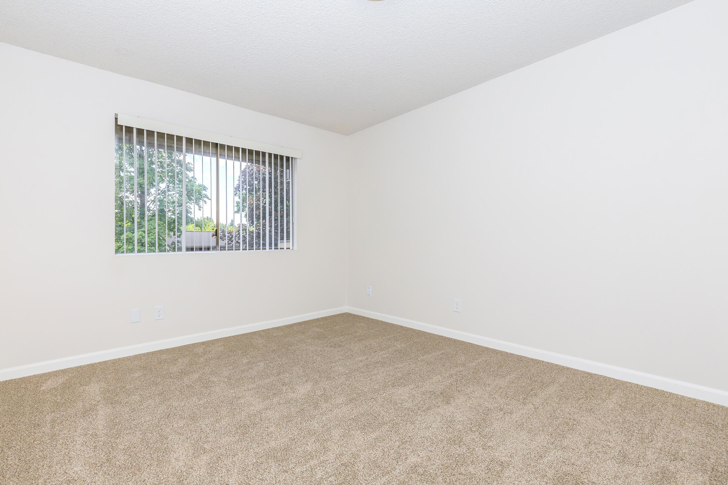 An empty room with beige carpet and light-colored walls. A window with vertical blinds allows natural light to enter, showing greenery outside. The space appears clean and minimalist, suitable for various decorating styles.