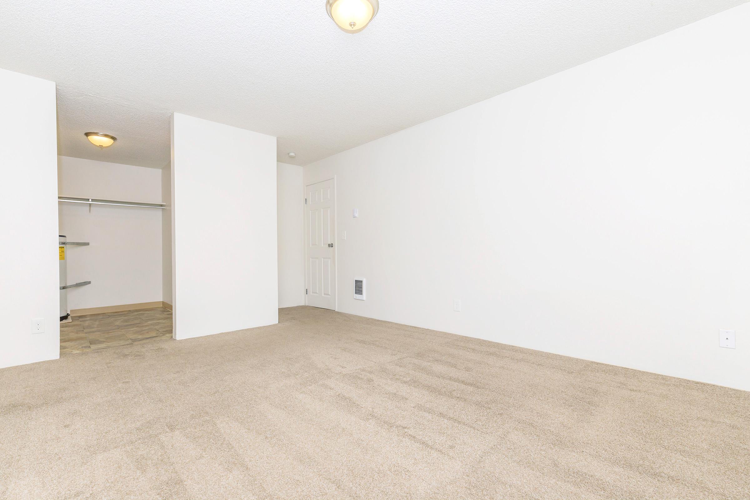 Spacious, empty room with light beige carpet, white walls, and a ceiling light fixture. A closet is visible on the left with shelving, and a door on the right likely leads to another area. The overall ambiance is bright and neutral, suitable for various decoration styles.