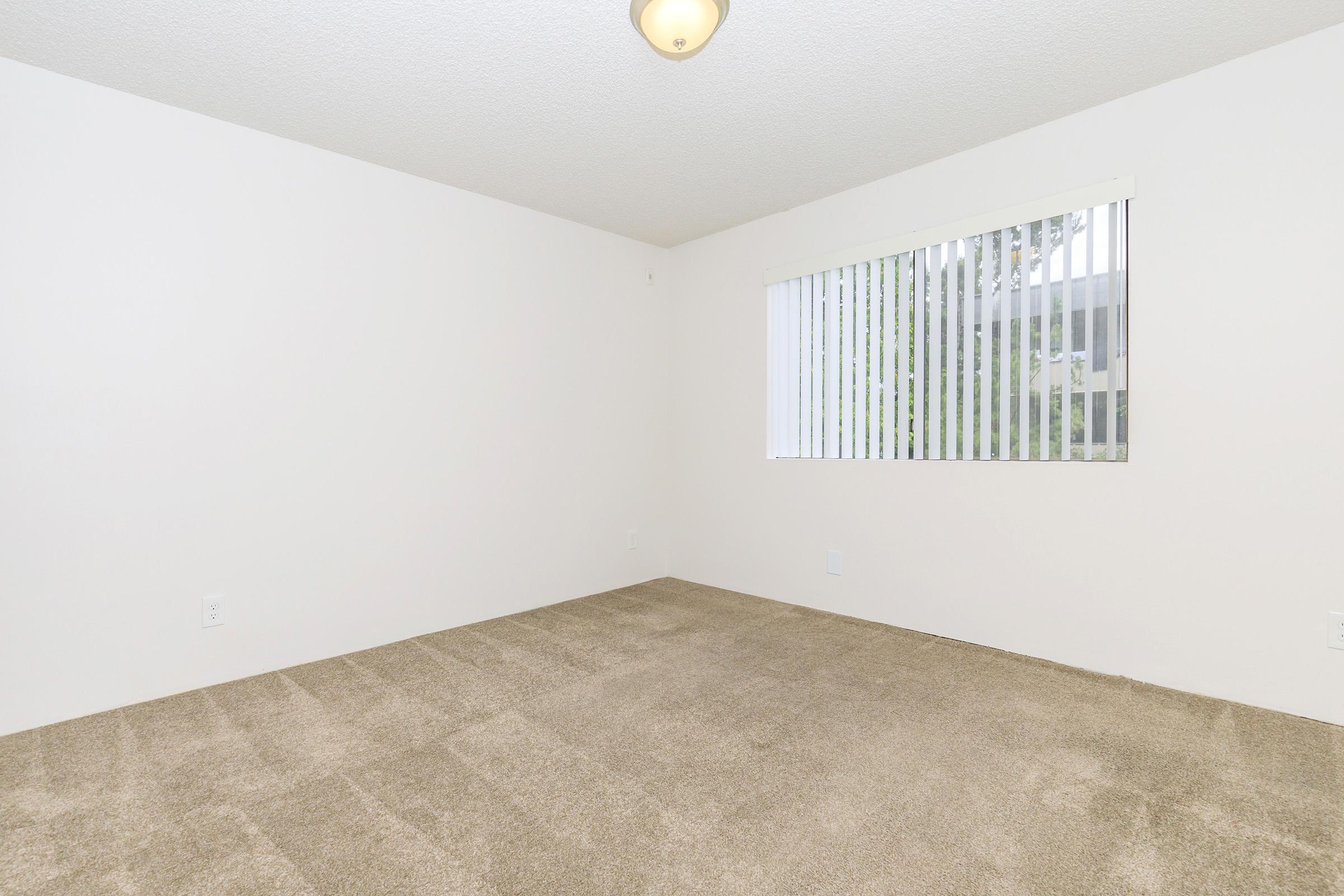 A spacious, empty room with light beige carpet and white walls. A large window with vertical blinds lets in natural light, providing a view of greenery outside. The ceiling features a simple light fixture, and there are no furnishings or decorations in the space.