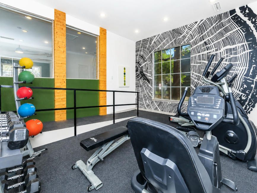 Interior of a modern gym featuring exercise equipment such as an elliptical machine and a weight bench. Colorful medicine balls are arranged on a rack against a wall. Large windows allow natural light, and a decorative wall mural adds a stylish touch to the space.