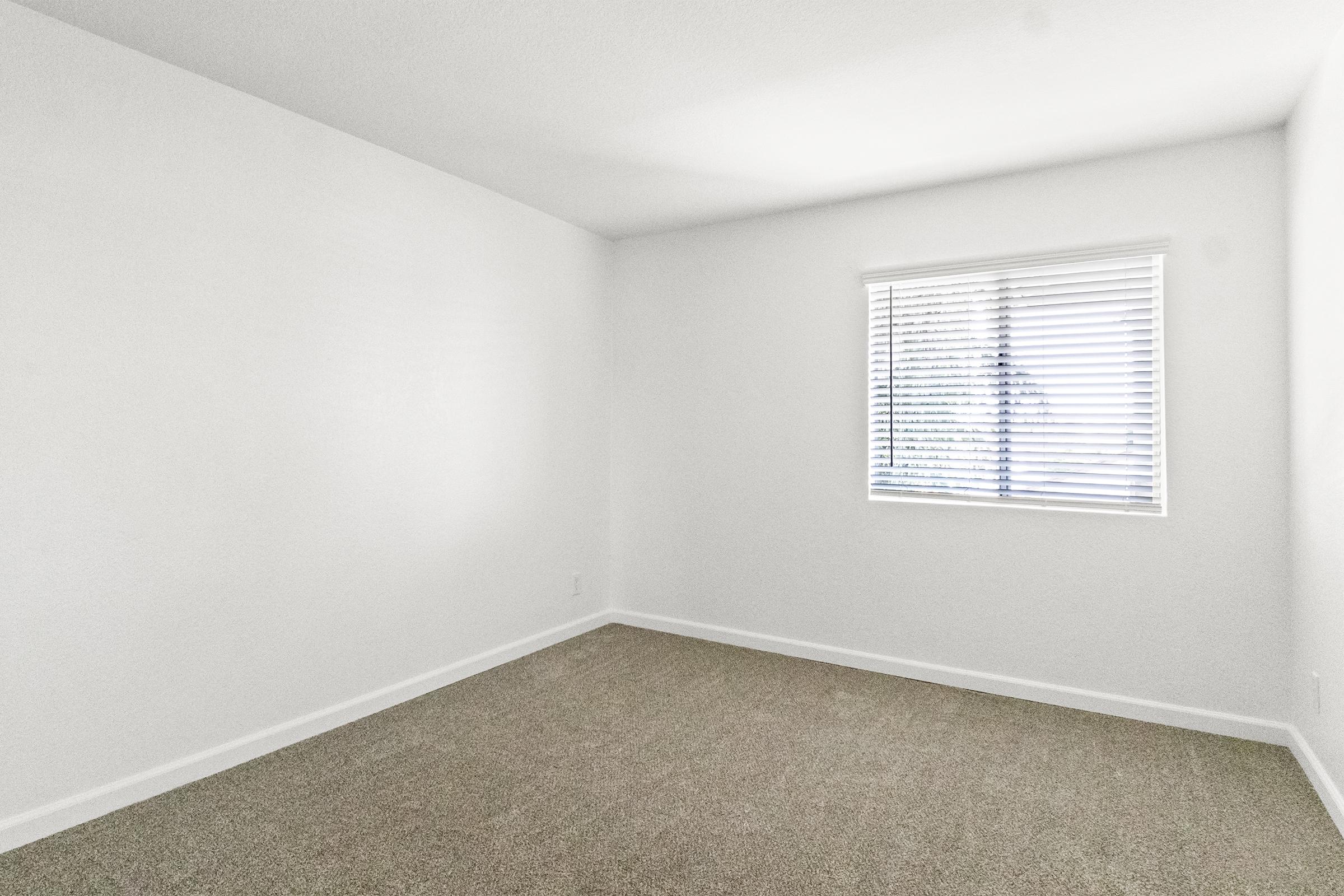 A simple, empty room with light gray carpet and white walls. There is a window with blinds on one side, allowing natural light to enter, creating a bright but minimalistic atmosphere.