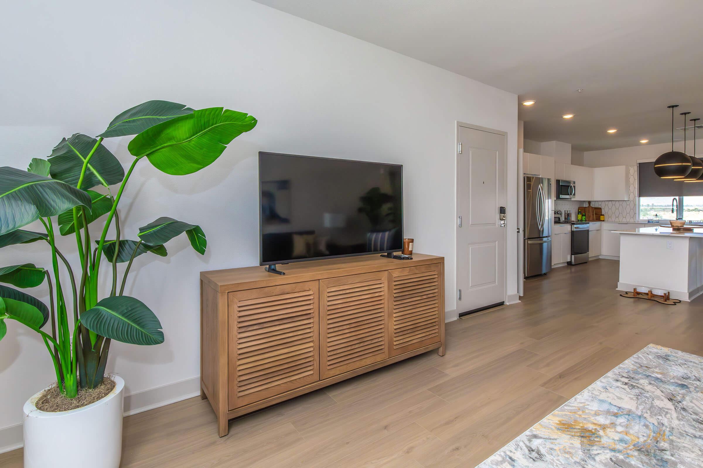 A modern living space featuring a wooden TV stand with a flat-screen television, a large green plant in a white pot, and a kitchen area visible in the background. The flooring is light-colored wood, and the walls are painted white, creating a bright and airy atmosphere.