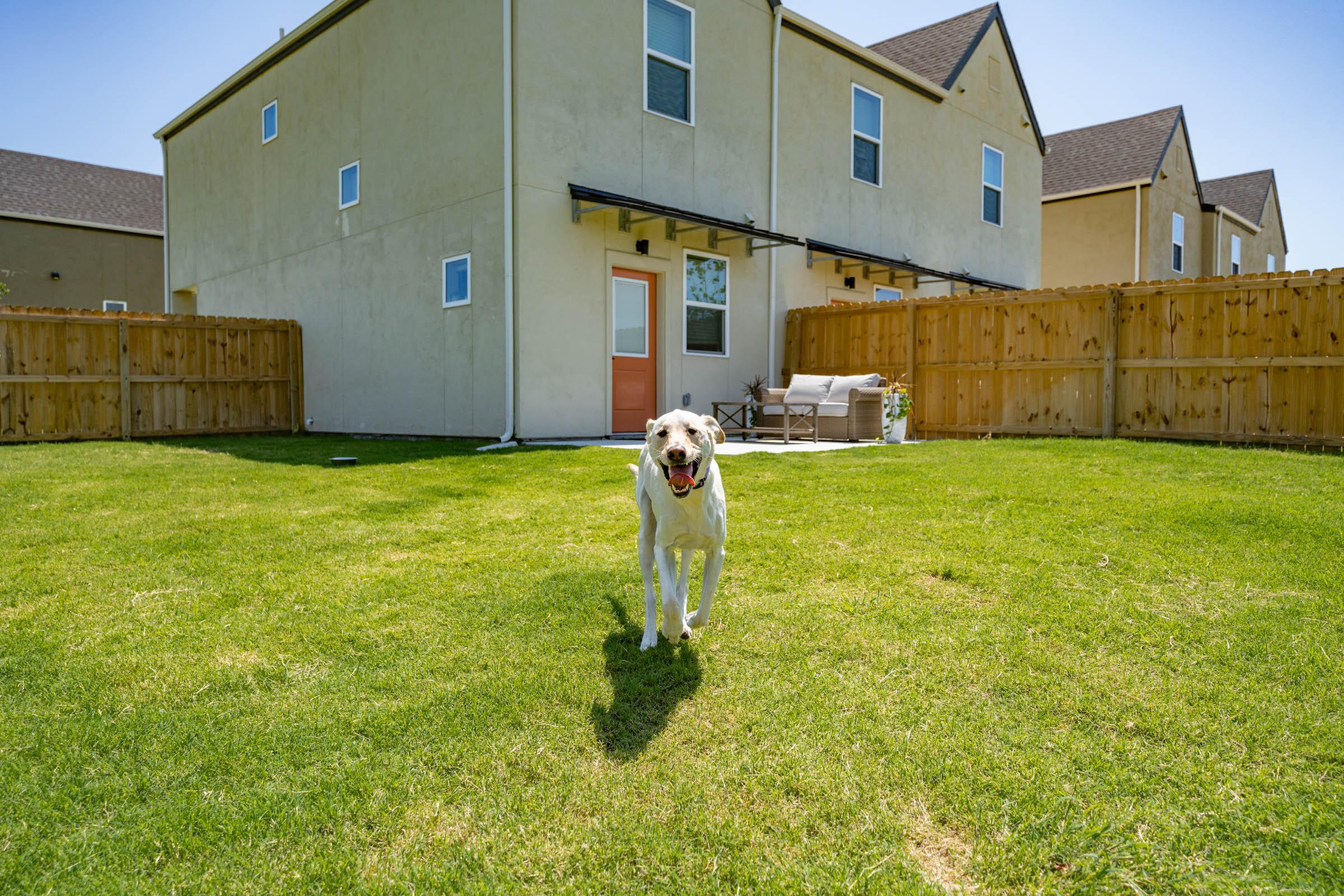 a little boy standing in front of a house