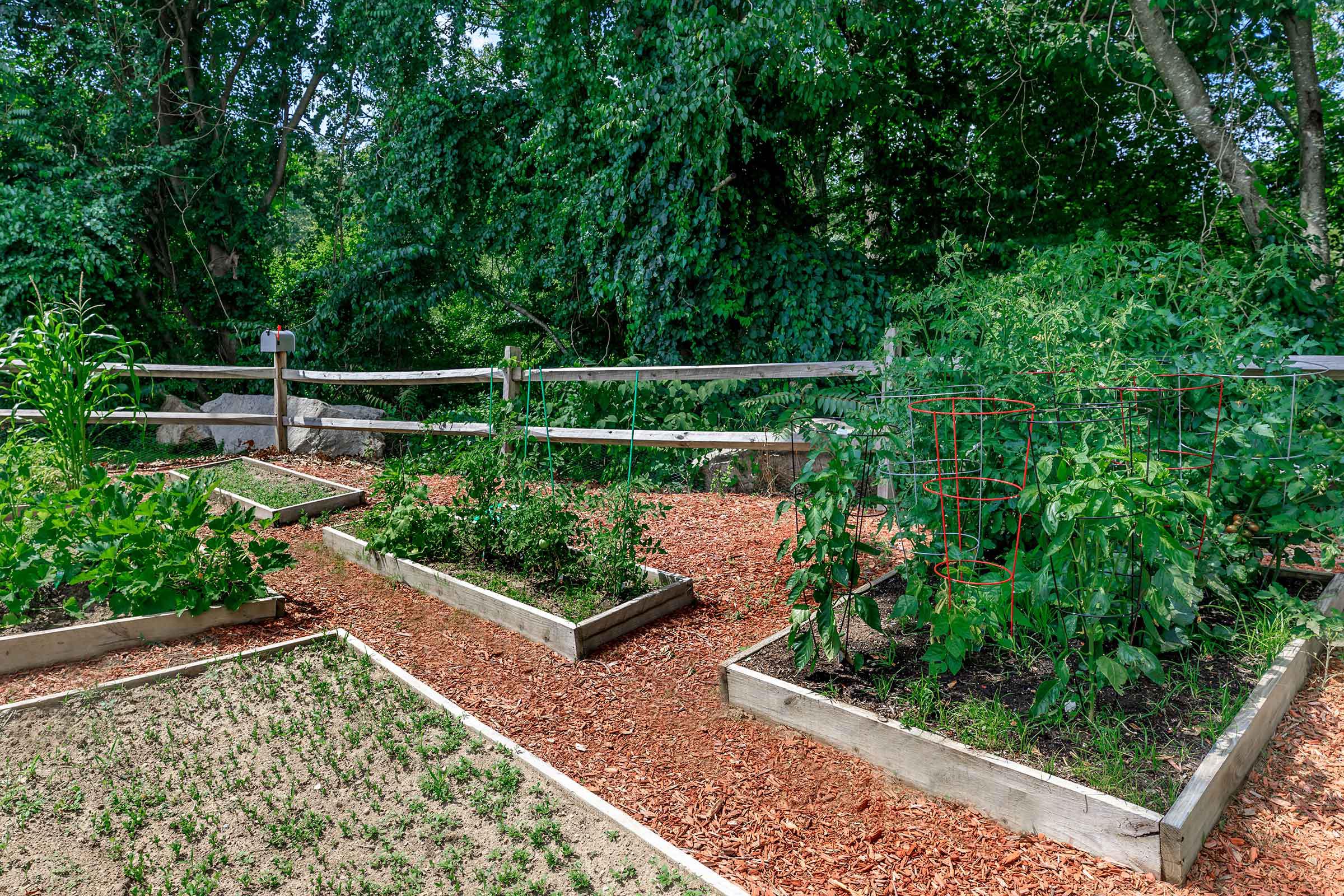 a bench in a garden