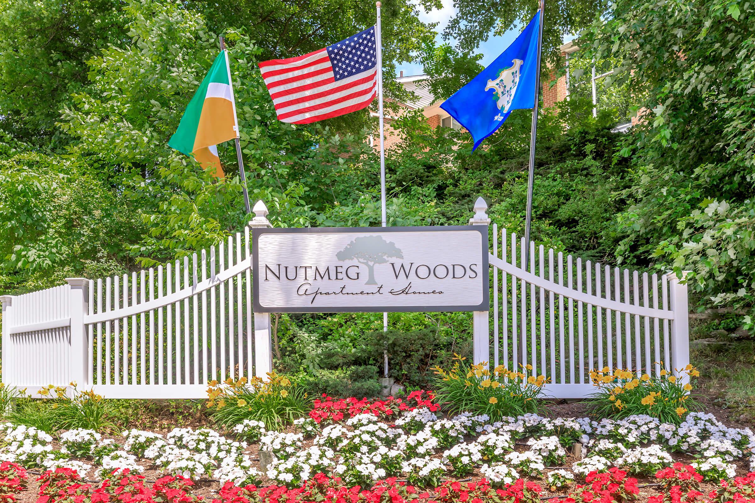 a colorful flower garden in front of a flag