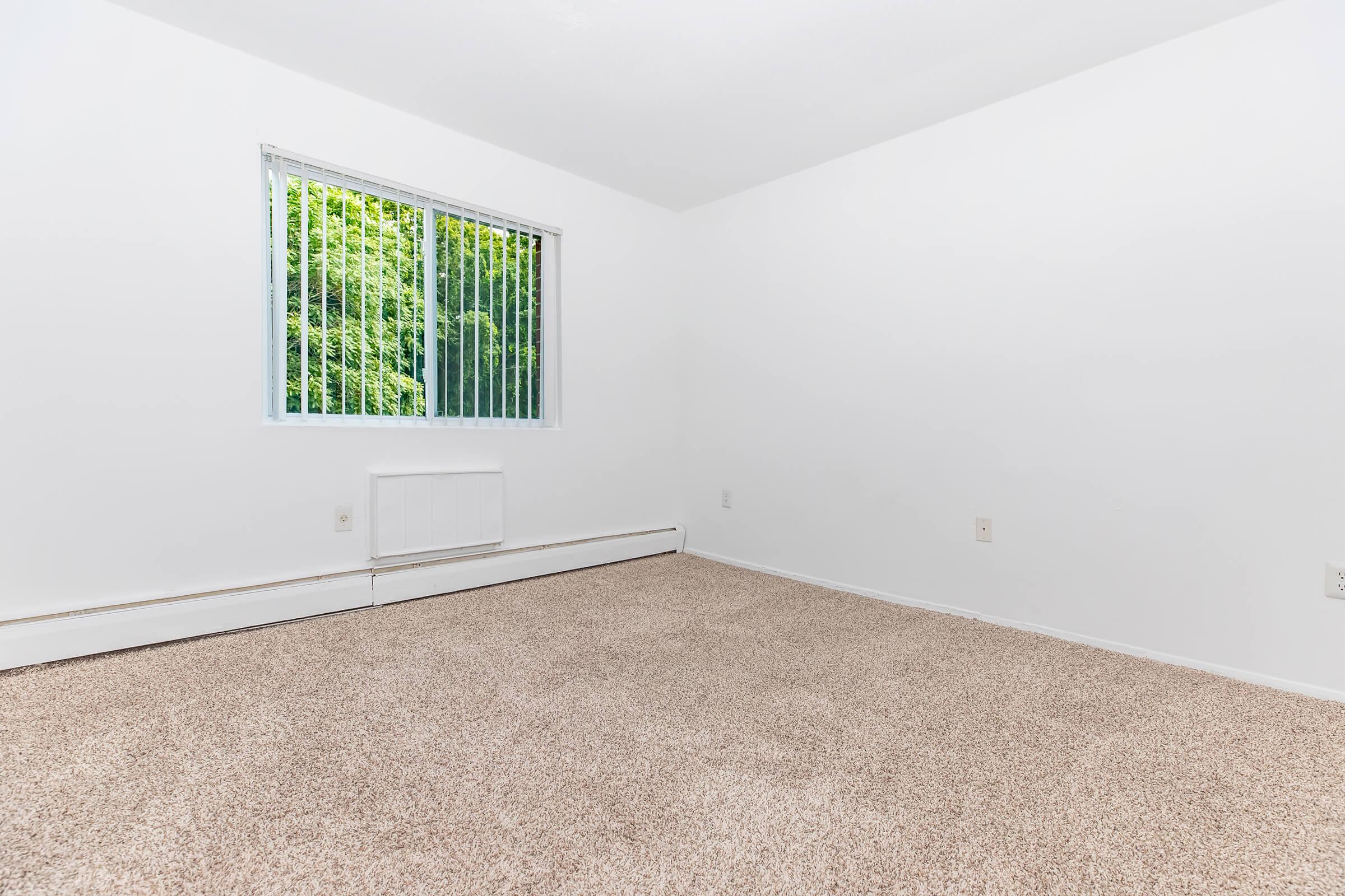 A spacious, empty room with light beige carpet and white walls. It features a large window with vertical blinds that lets in natural light, revealing greenery outside. The room is clean and uncluttered, providing a blank canvas for potential furniture and decor arrangements.
