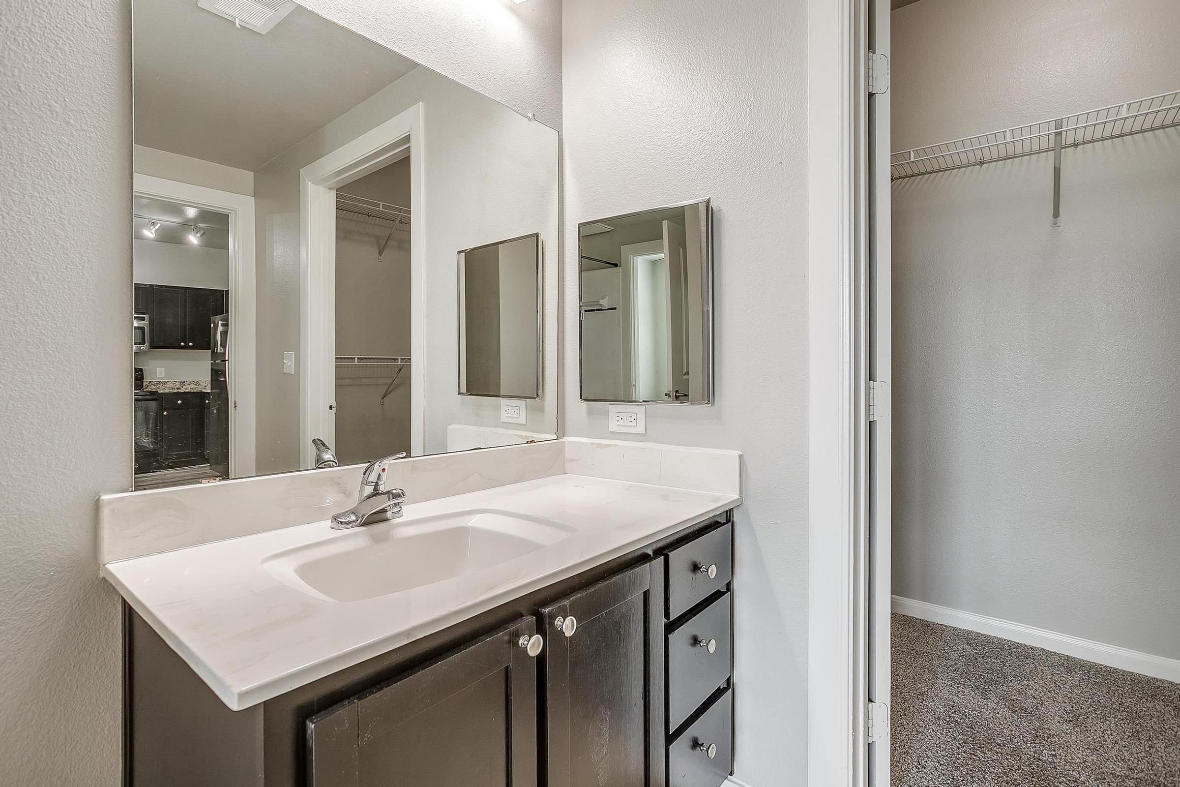 a double sink and large mirror