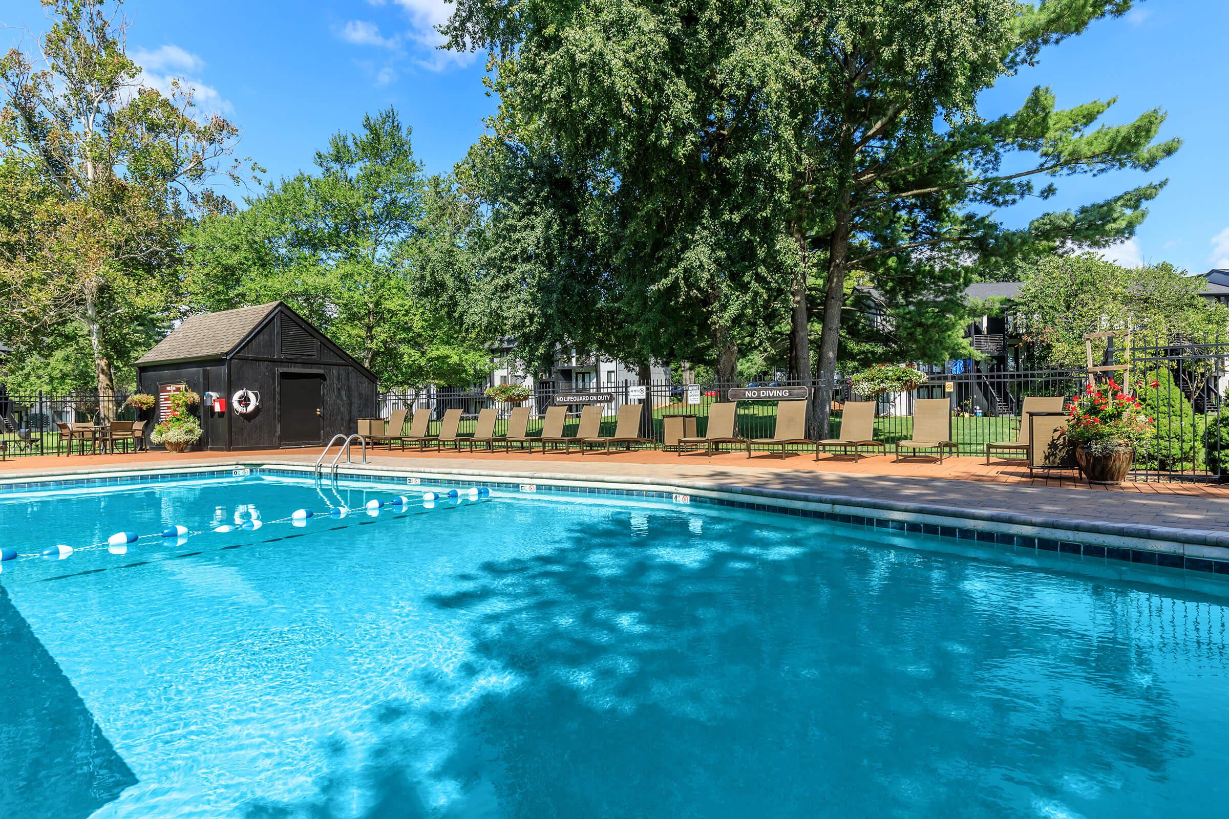 Relax Beside our Sparkling Swimming Pools at Brendon Park Apartments
