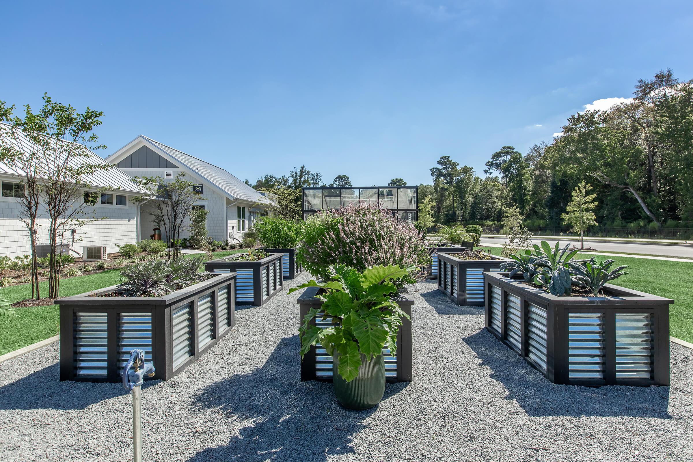 A landscaped garden featuring multiple rectangular wooden raised planter boxes filled with various plants. The garden is arranged on a gravel pathway, surrounded by green lawn and trees. A modern building is visible in the background under a clear blue sky.