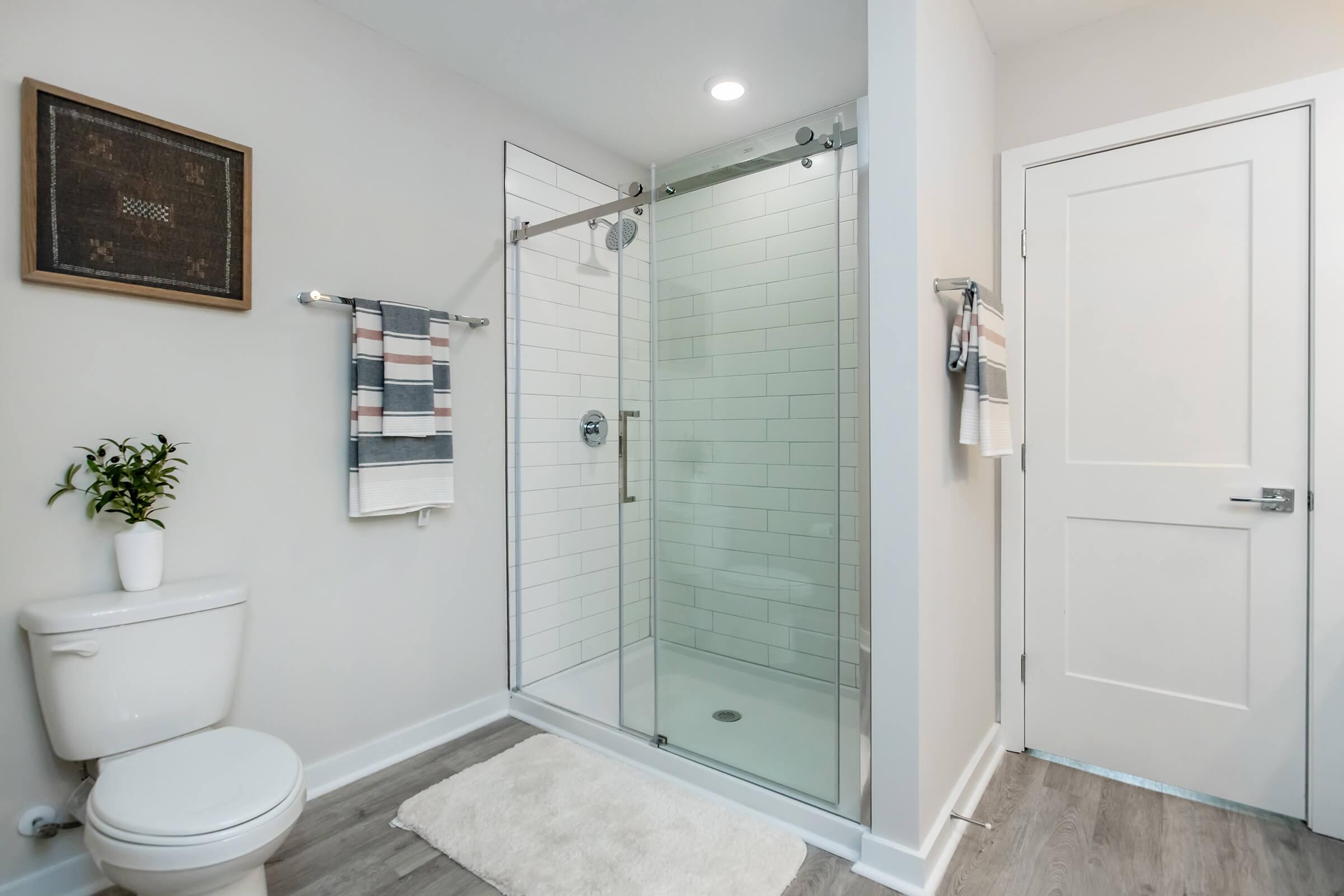 Modern bathroom featuring a walk-in shower with glass doors, a white toilet, a small plant on the shelf, and striped towels hanging on a bar. There is a framed artwork on the wall and light wood flooring, creating a clean and contemporary look. A closed white door is visible in the background.