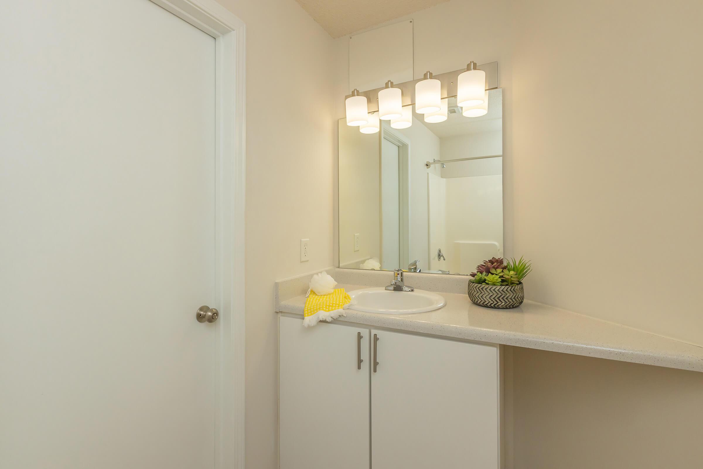 a sink and a mirror