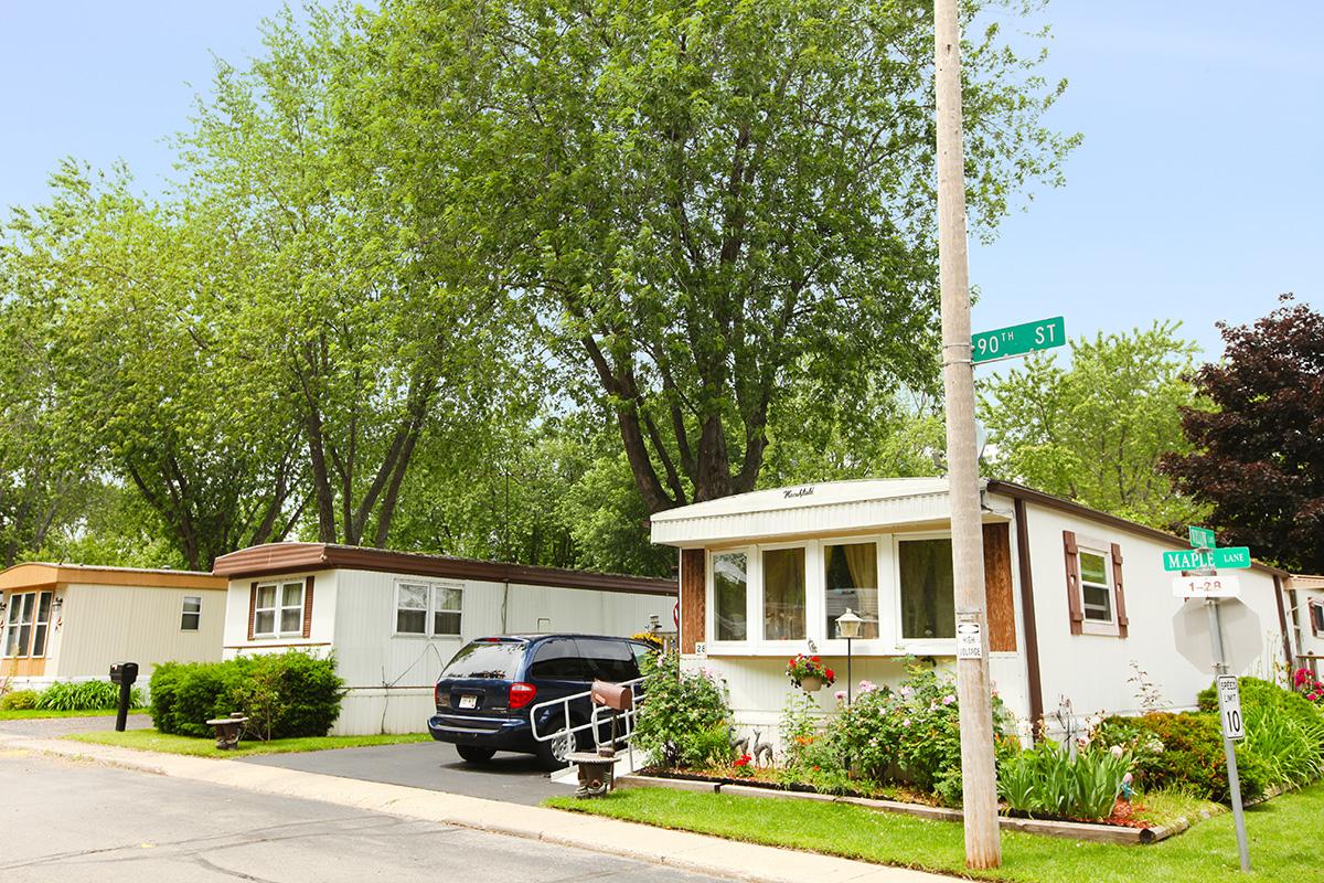 a tree in front of a house