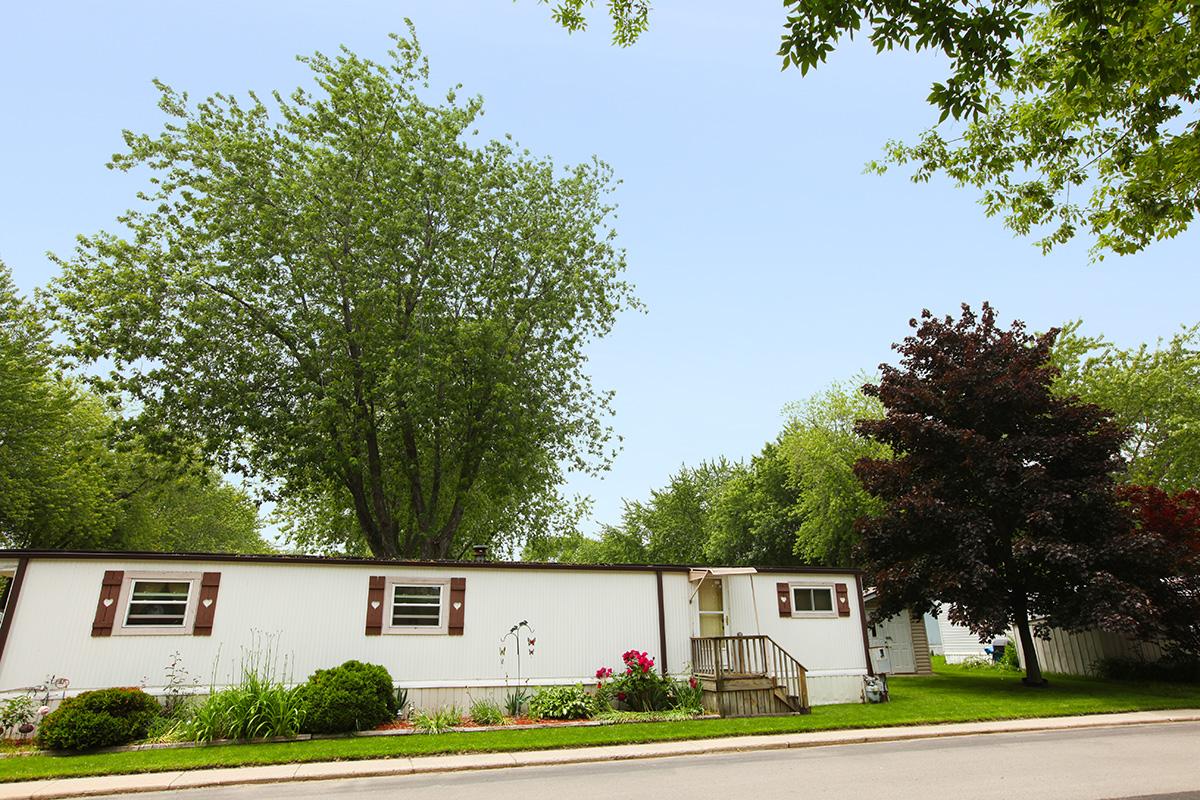 a tree in front of a house