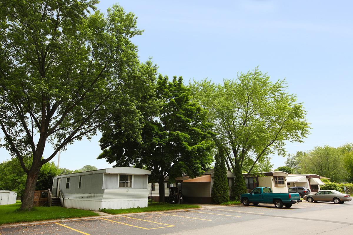 a car parked in front of a tree