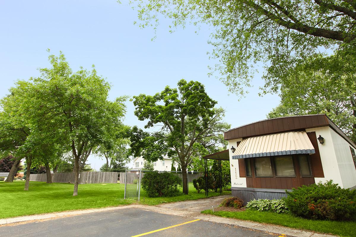 a tree in front of a house