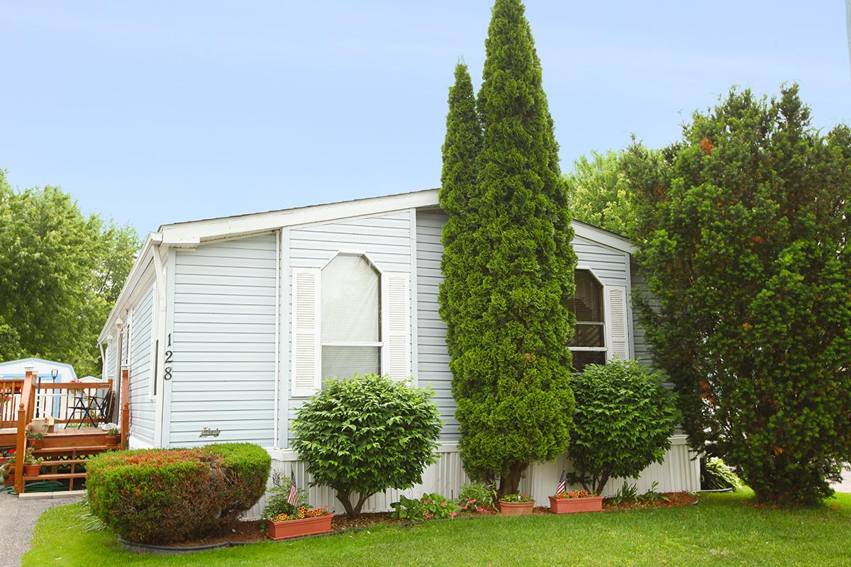 a tree in front of a house