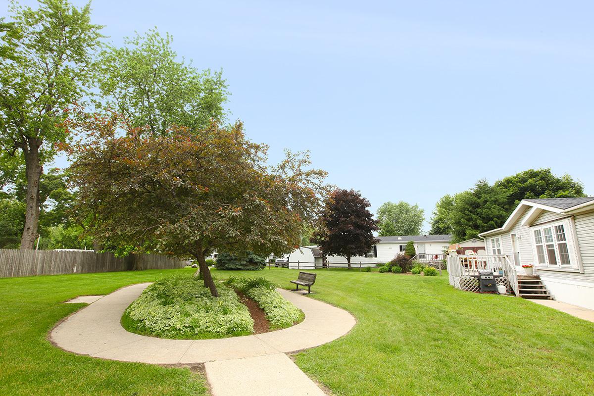 a large lawn in front of a tree