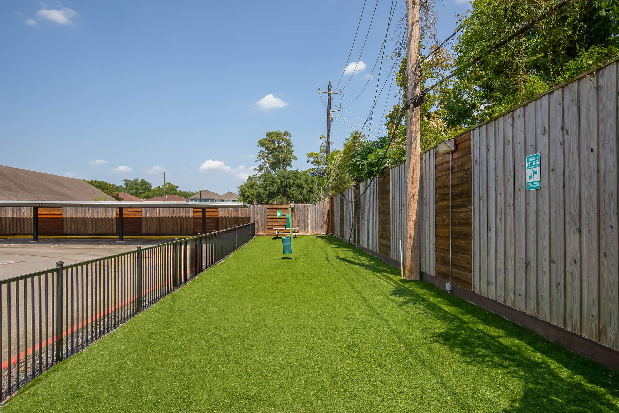 a close up of a lush green yard next to a fence