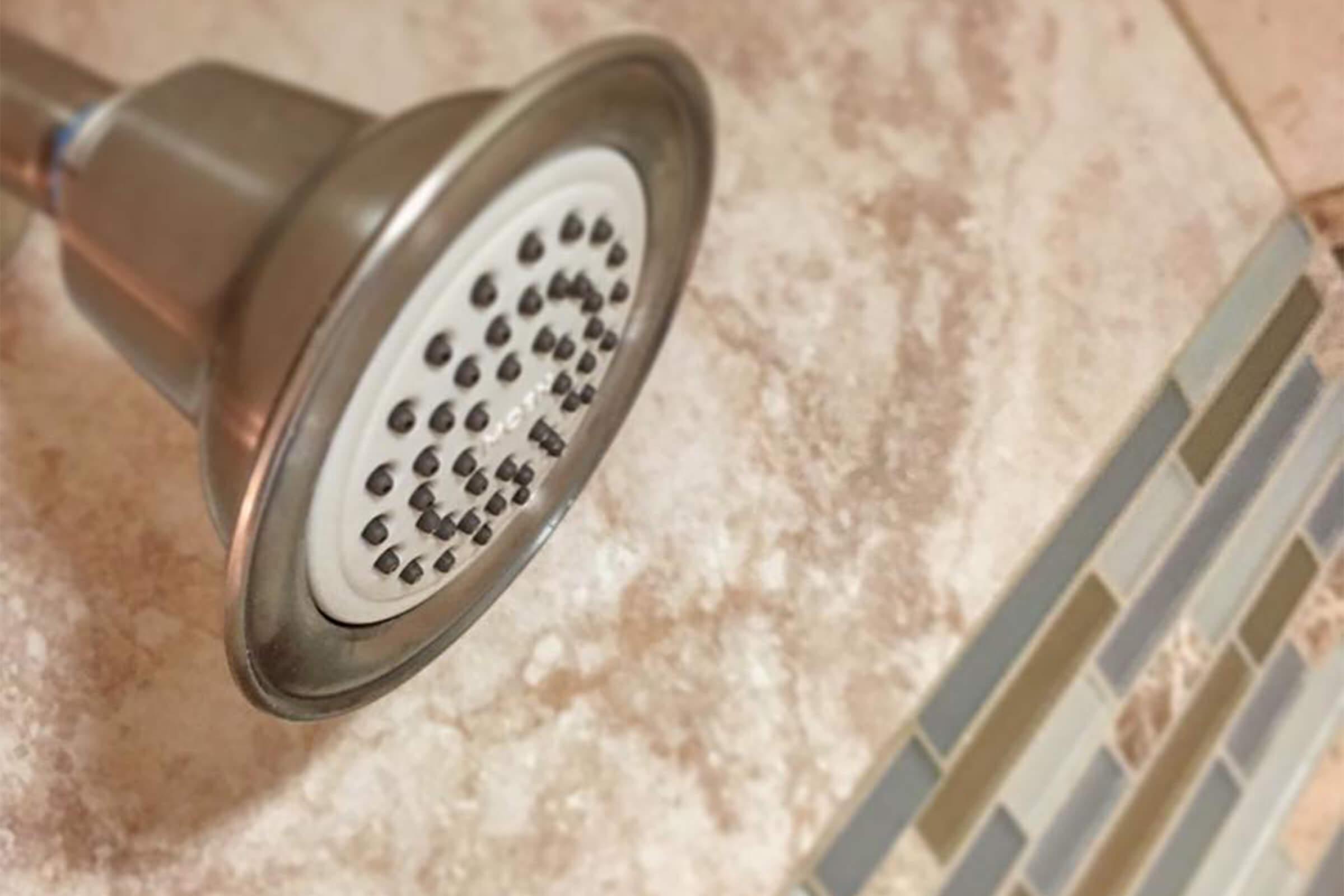 29DominionSquareInteriorShowerHead.jpg