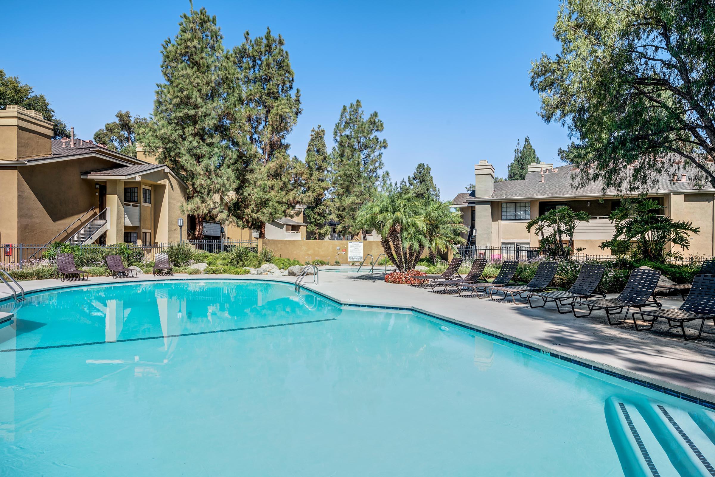 A spacious outdoor swimming pool surrounded by lounge chairs and tropical plants. In the background, there are residential buildings with a clear blue sky overhead and trees providing shade. The pool area appears inviting and well-maintained, perfect for relaxation.