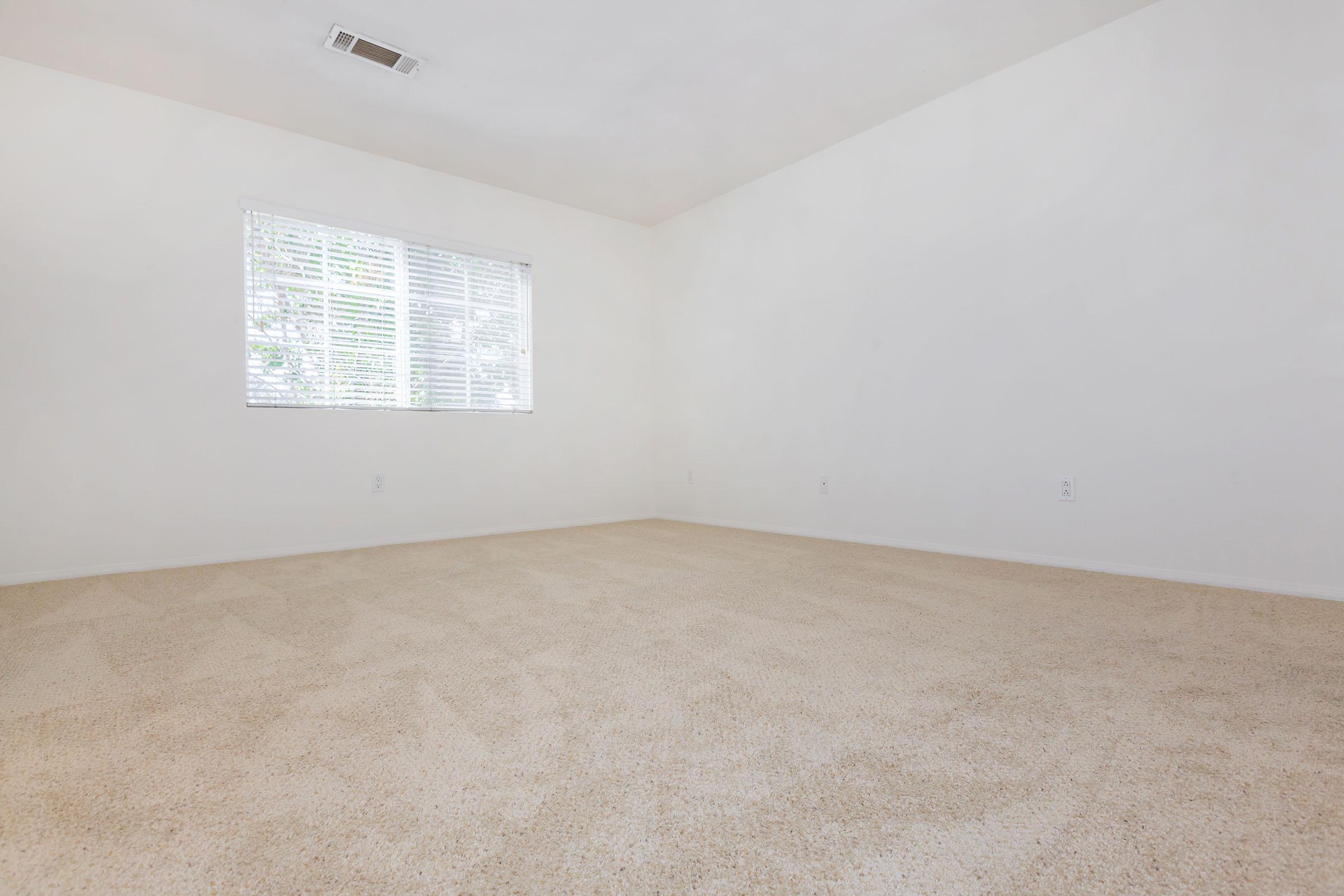 A spacious, empty room with light beige carpeting and a large window allowing natural light to enter. The walls are plain and white, creating a bright and open atmosphere. No furniture is present, emphasizing the room's emptiness.