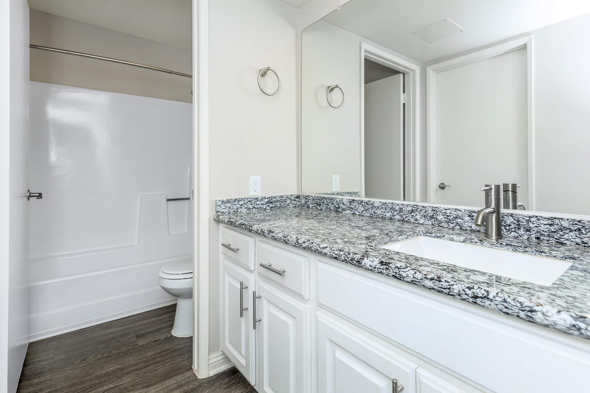 A modern bathroom featuring a granite countertop with a sink, a white toilet, and a shower stall. The walls are painted light colors, and there is a large mirror above the sink. The flooring is dark wood, creating a contrast with the bright fixtures.