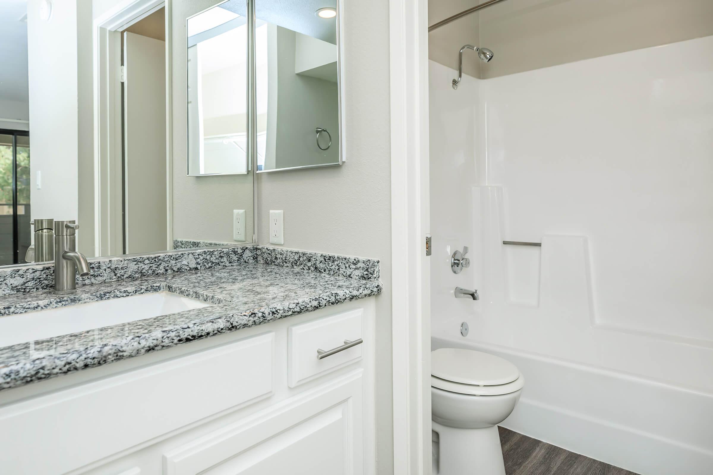 Bathroom with granite countertops