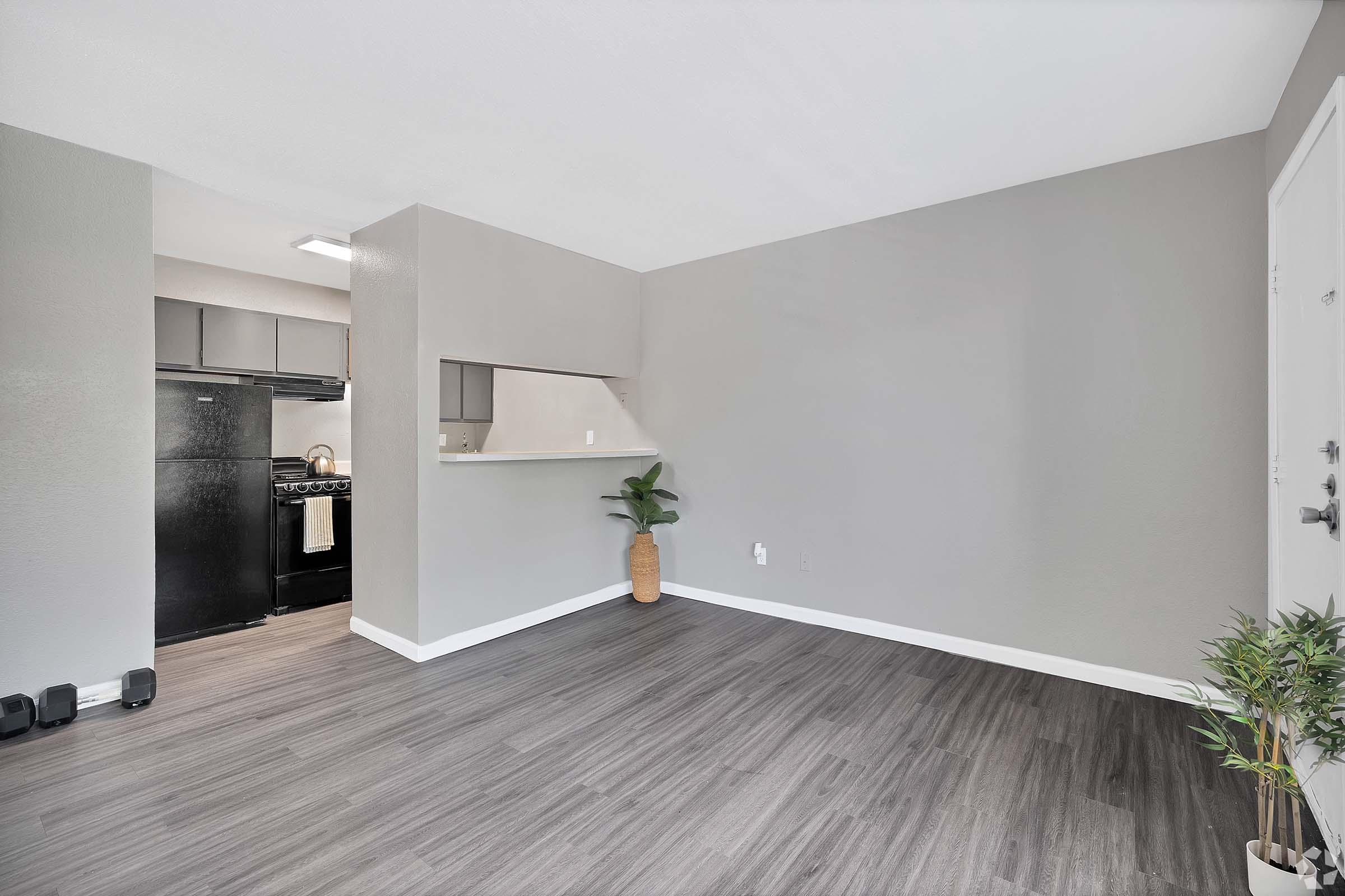 A spacious, well-lit living area with gray walls and hardwood flooring. There's a small kitchen visible in the background with black appliances. A potted plant is placed in the corner, adding a touch of greenery. The overall ambiance is modern and inviting, ideal for comfortable living.
