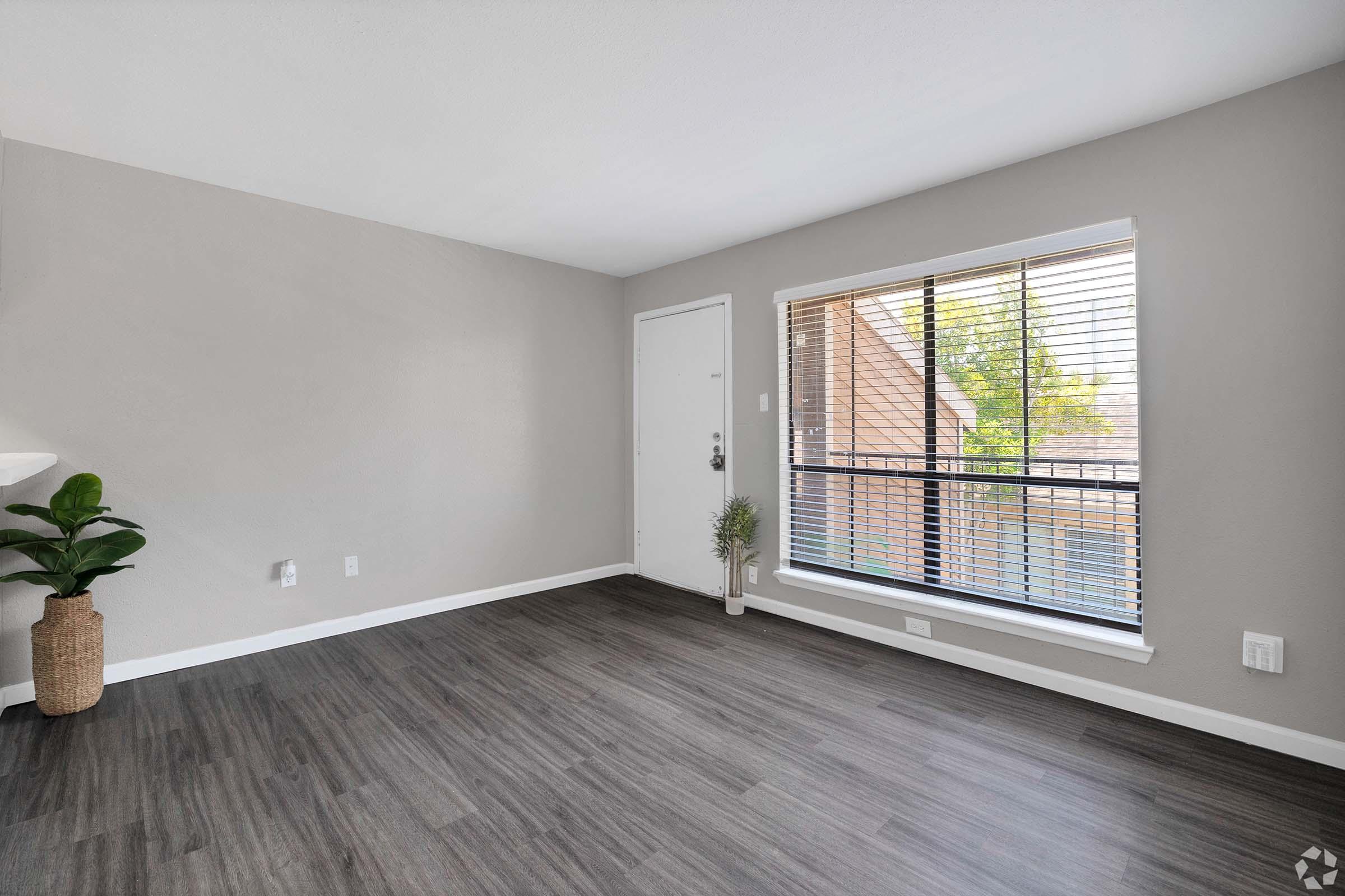 Spacious and modern living room featuring light gray walls, laminate flooring, and a large window with horizontal blinds allowing natural light. A potted plant is positioned in the corner, and a door leads outside. The space is uncluttered, providing a neutral backdrop for furniture and decor.