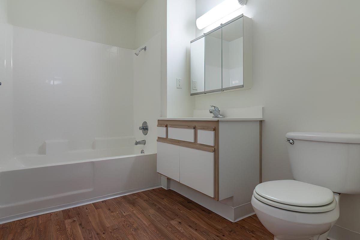 a large tub next to a sink