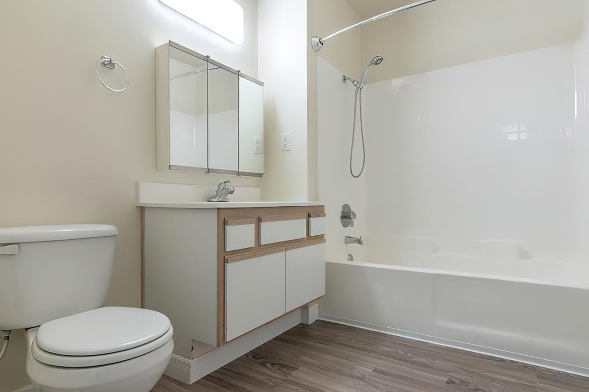 a shower that has a sink and a mirror