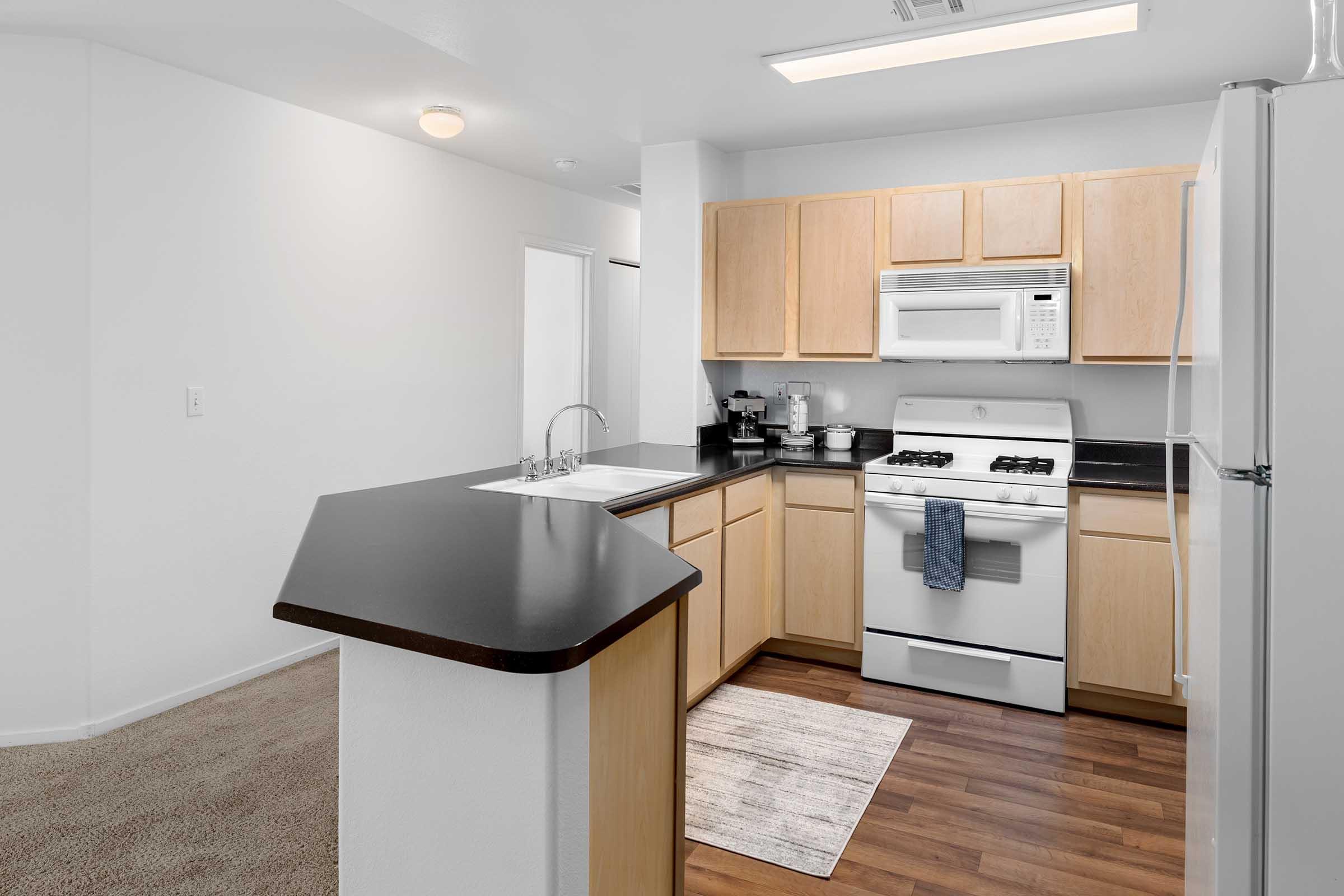 Bright and modern kitchen featuring light wood cabinets, a black countertop, and stainless steel appliances. Includes a gas stove, microwave, and a sink with a view of the living area. The flooring is a warm wooden pattern, and the walls are painted white, creating an open and airy atmosphere.