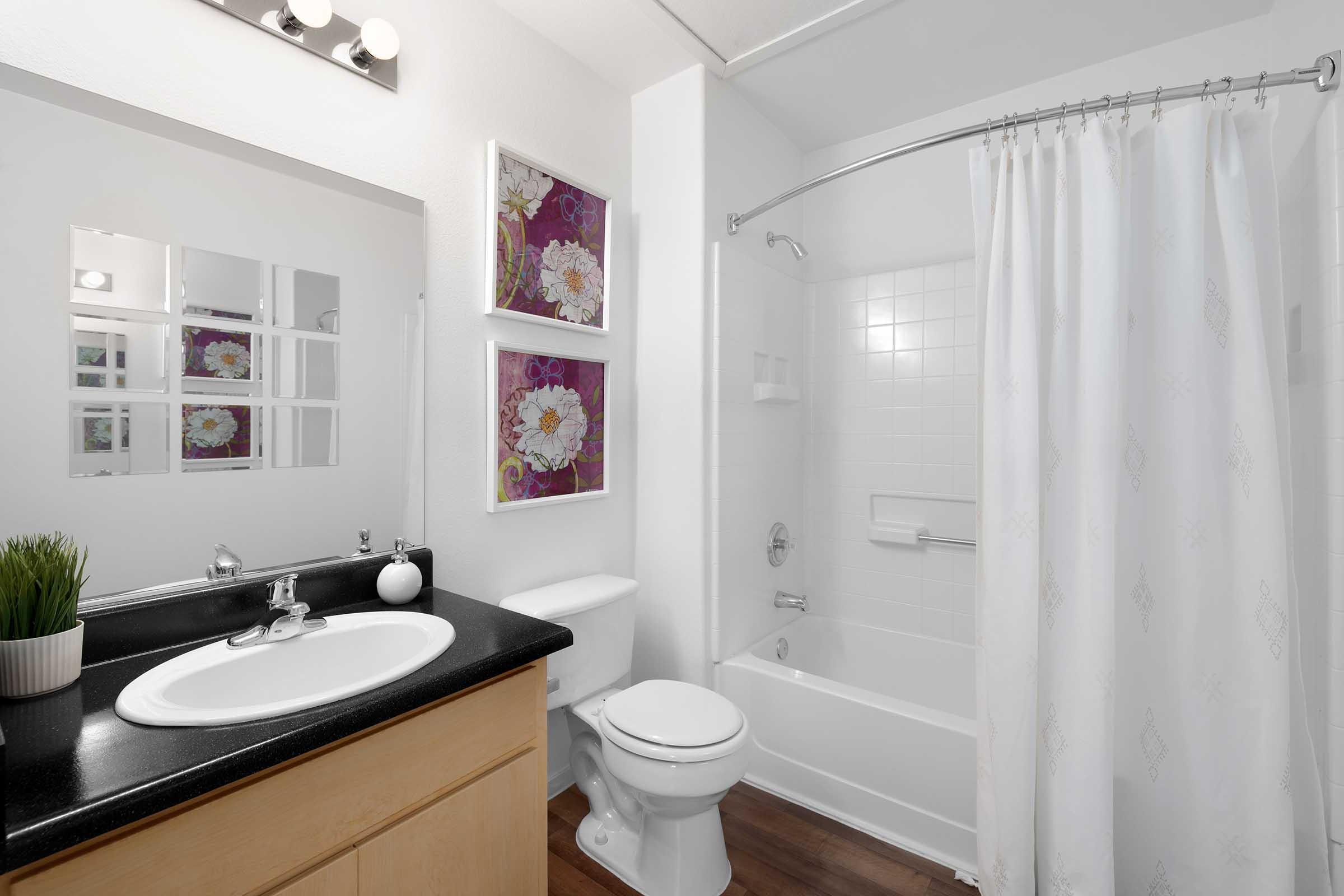 A modern bathroom featuring a white bathtub with a shower curtain, a dark countertop with a sink, a toilet, and decorative wall art with floral prints. The space is well-lit with a mirror and a light fixture above the sink, and there's a small potted plant on the counter.