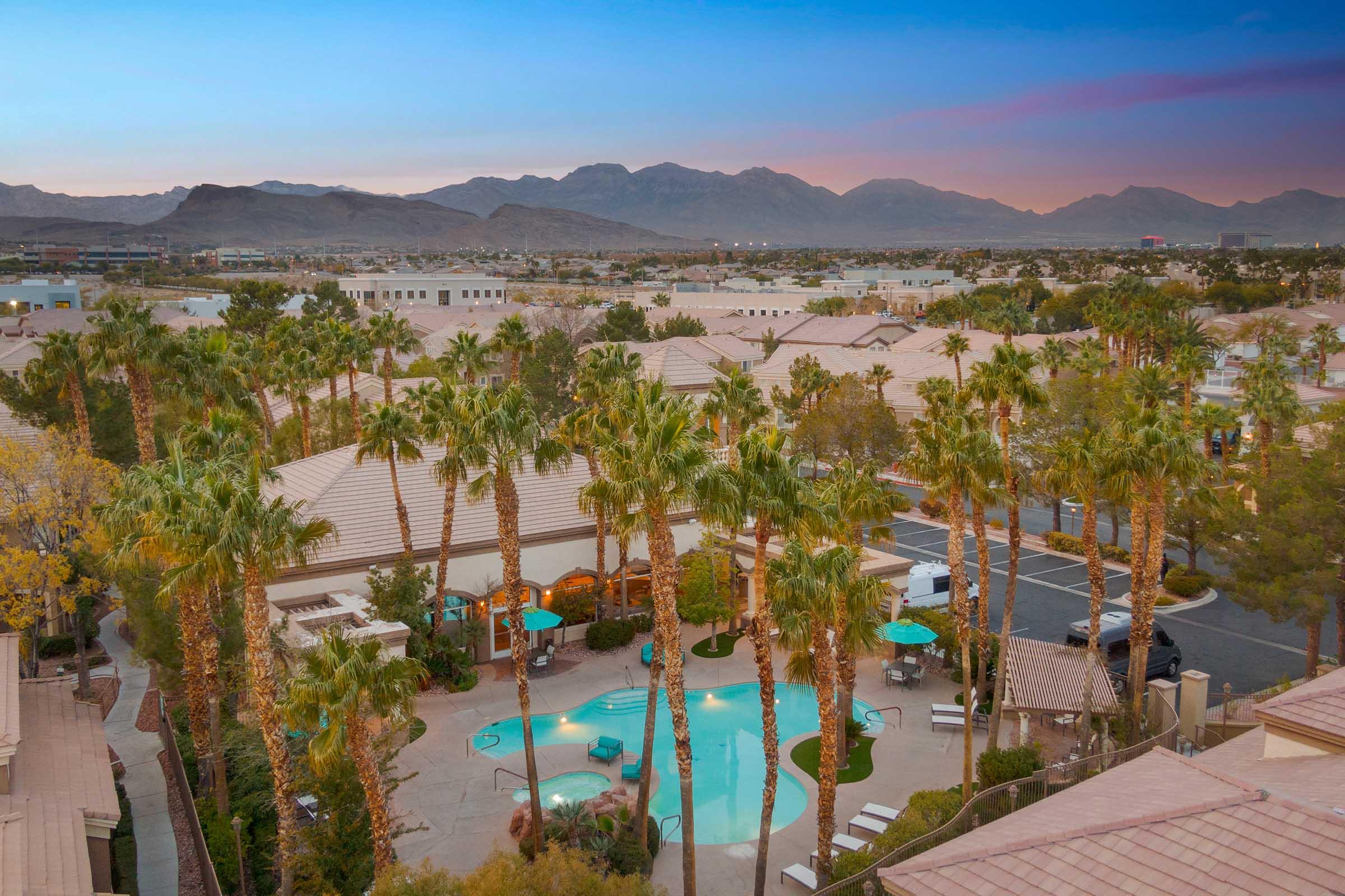 swimming pool and palm trees at dusk