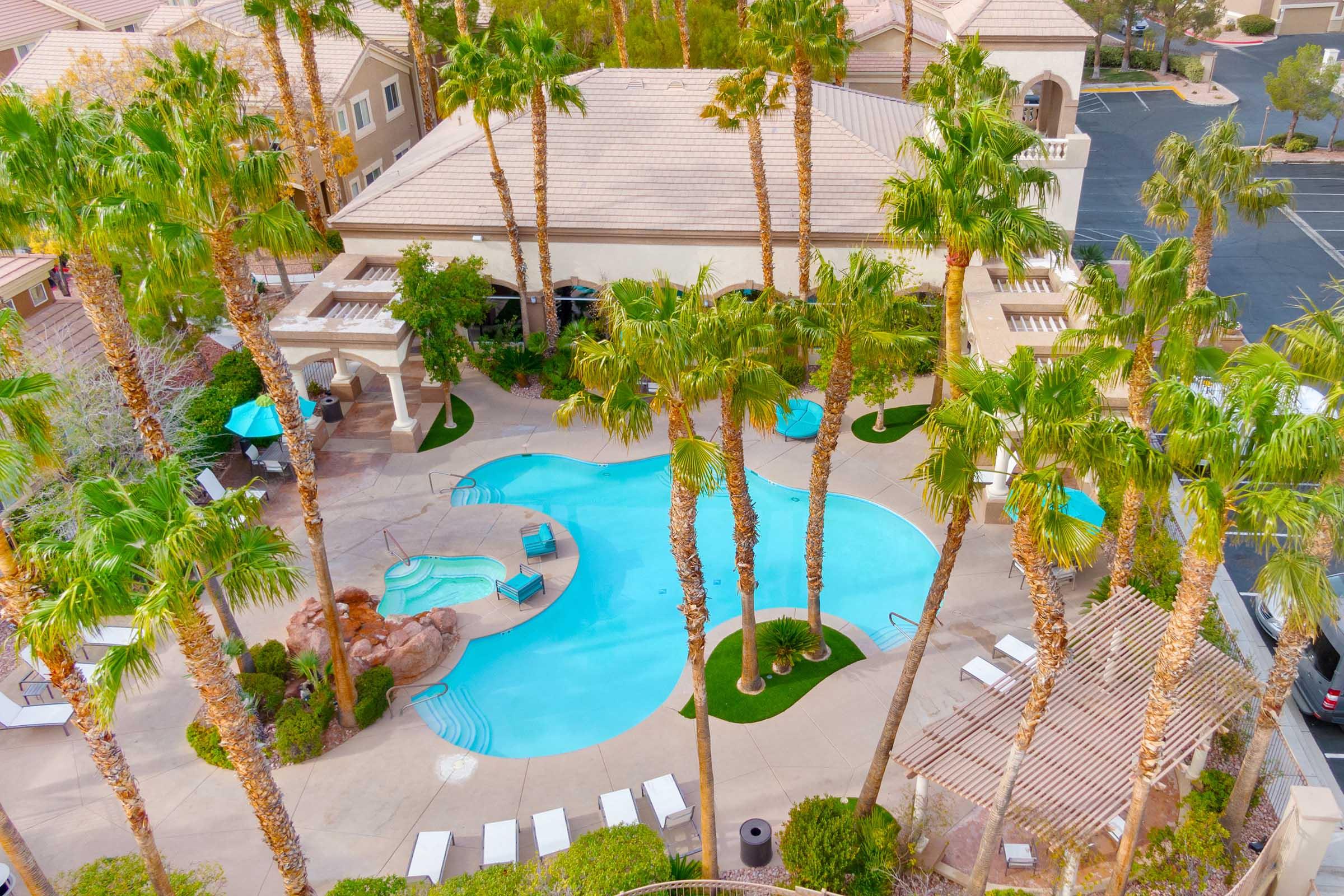 palm trees surrounding pool