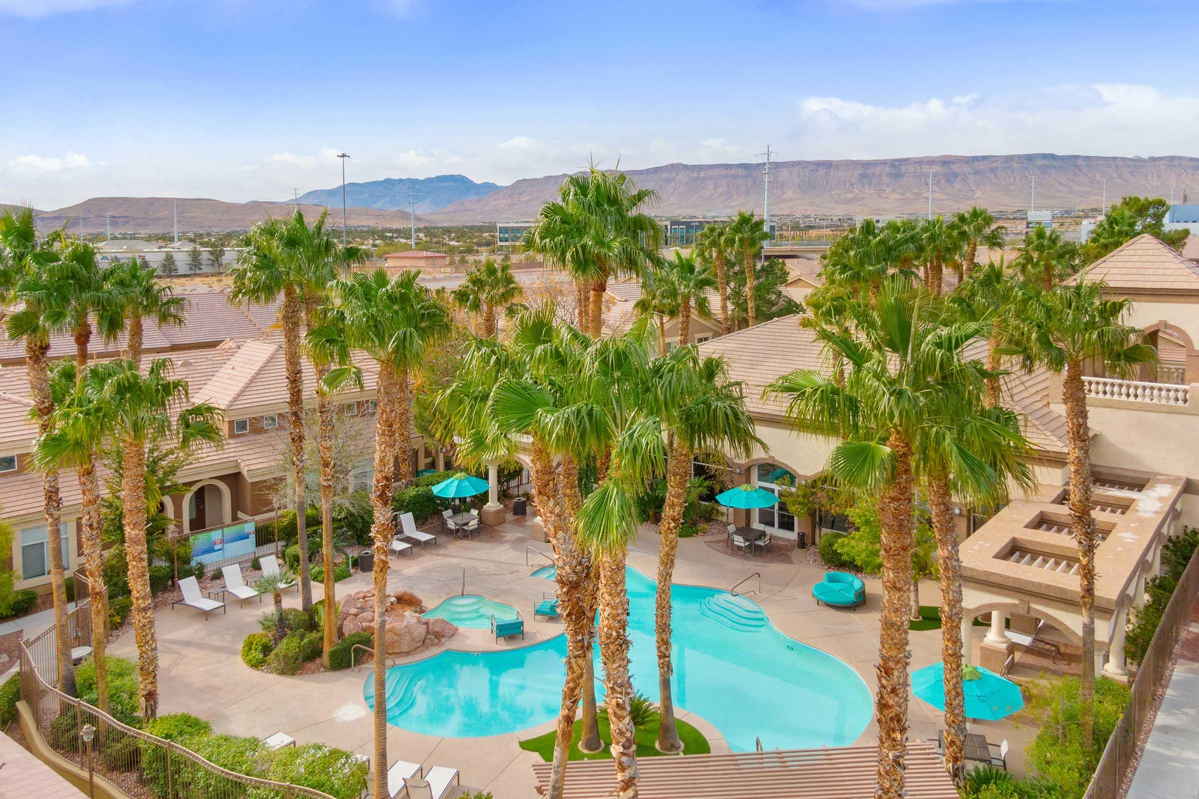 palm trees around pool with mountains