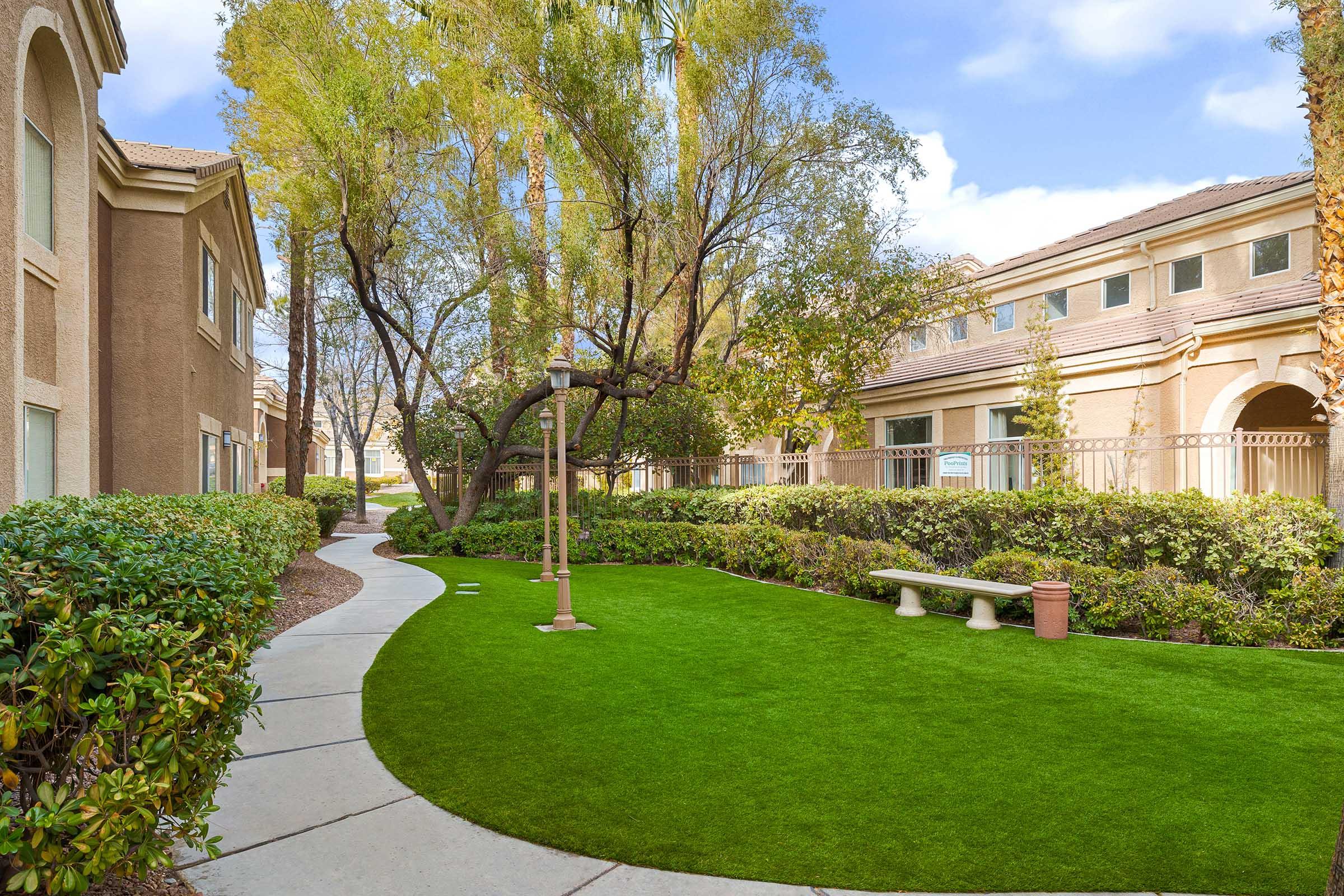 grassy area with bench