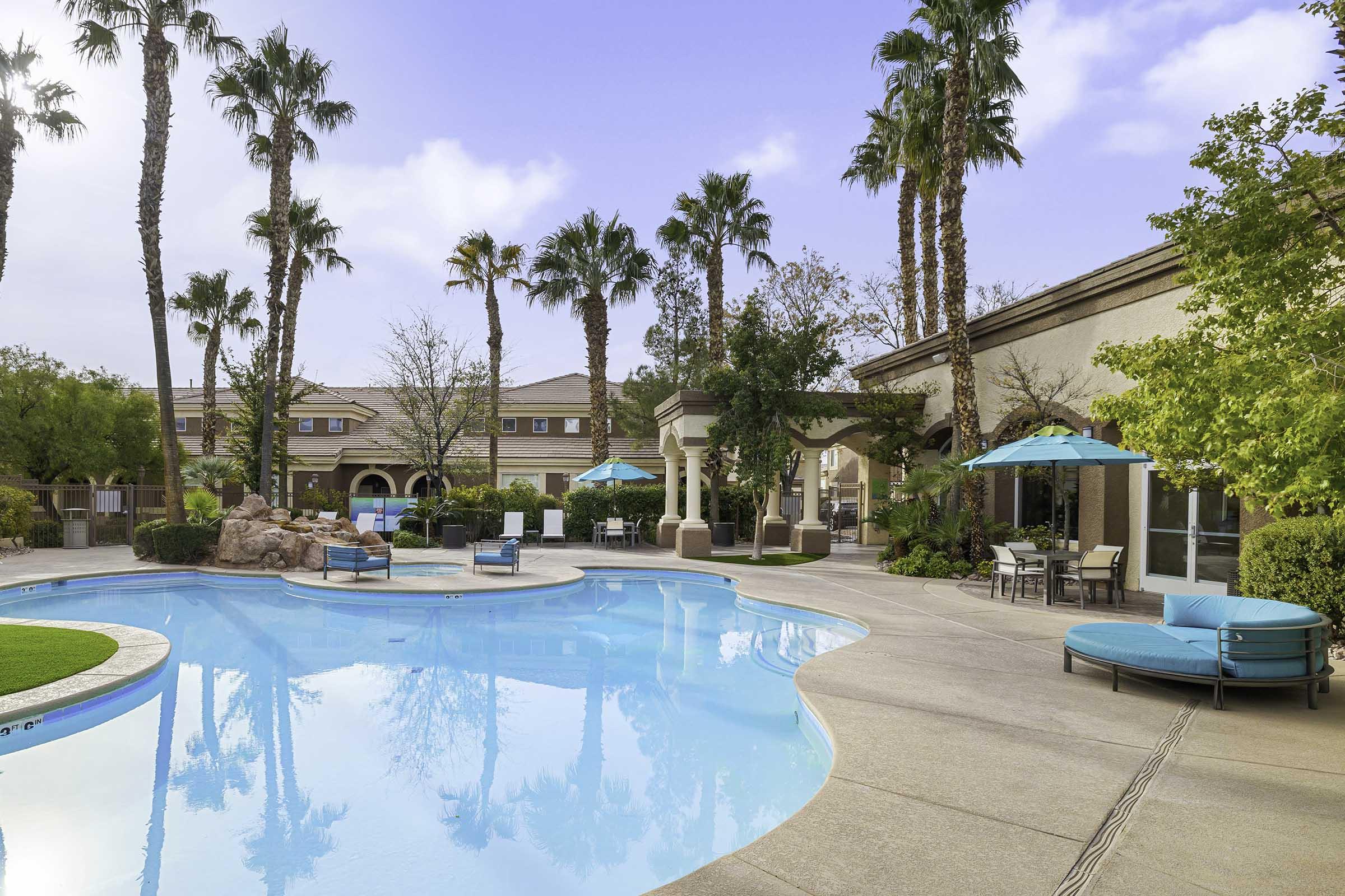 swimming pool with palm trees