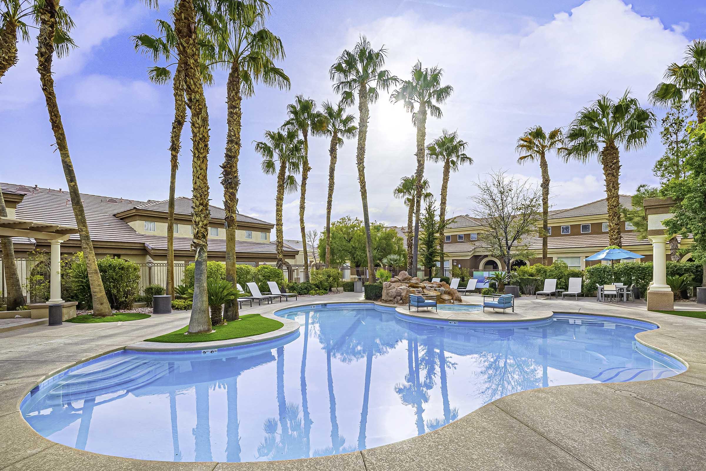 palm tree next to swimming pool